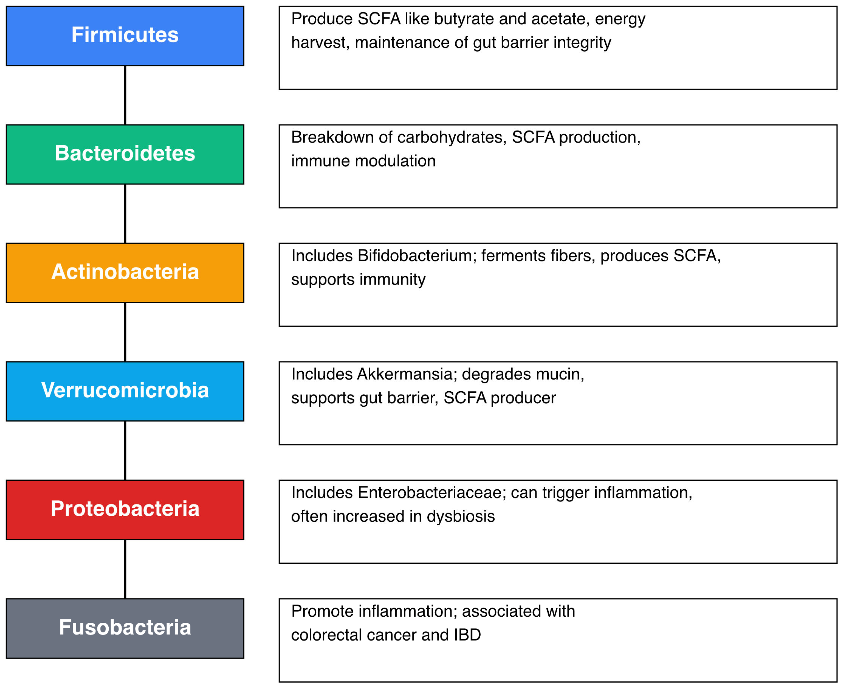 Diseases 13 00250 g001