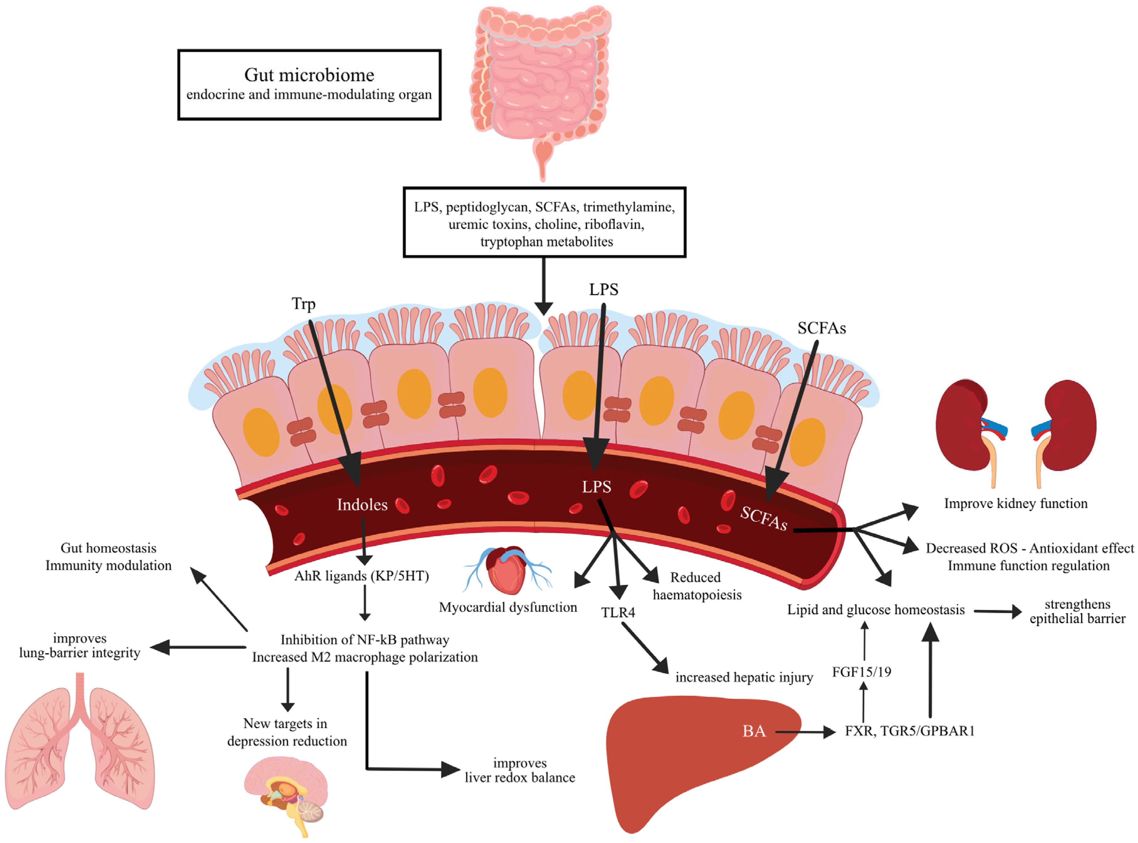 Diseases 13 00250 g003