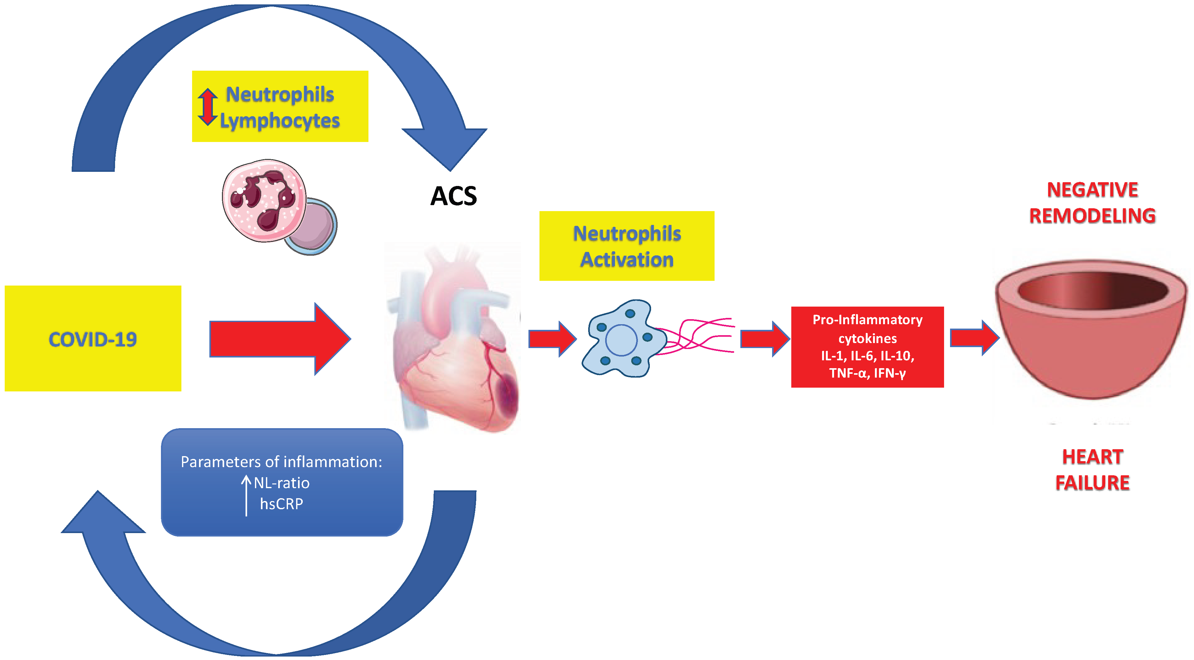 Diseases 13 00252 g002