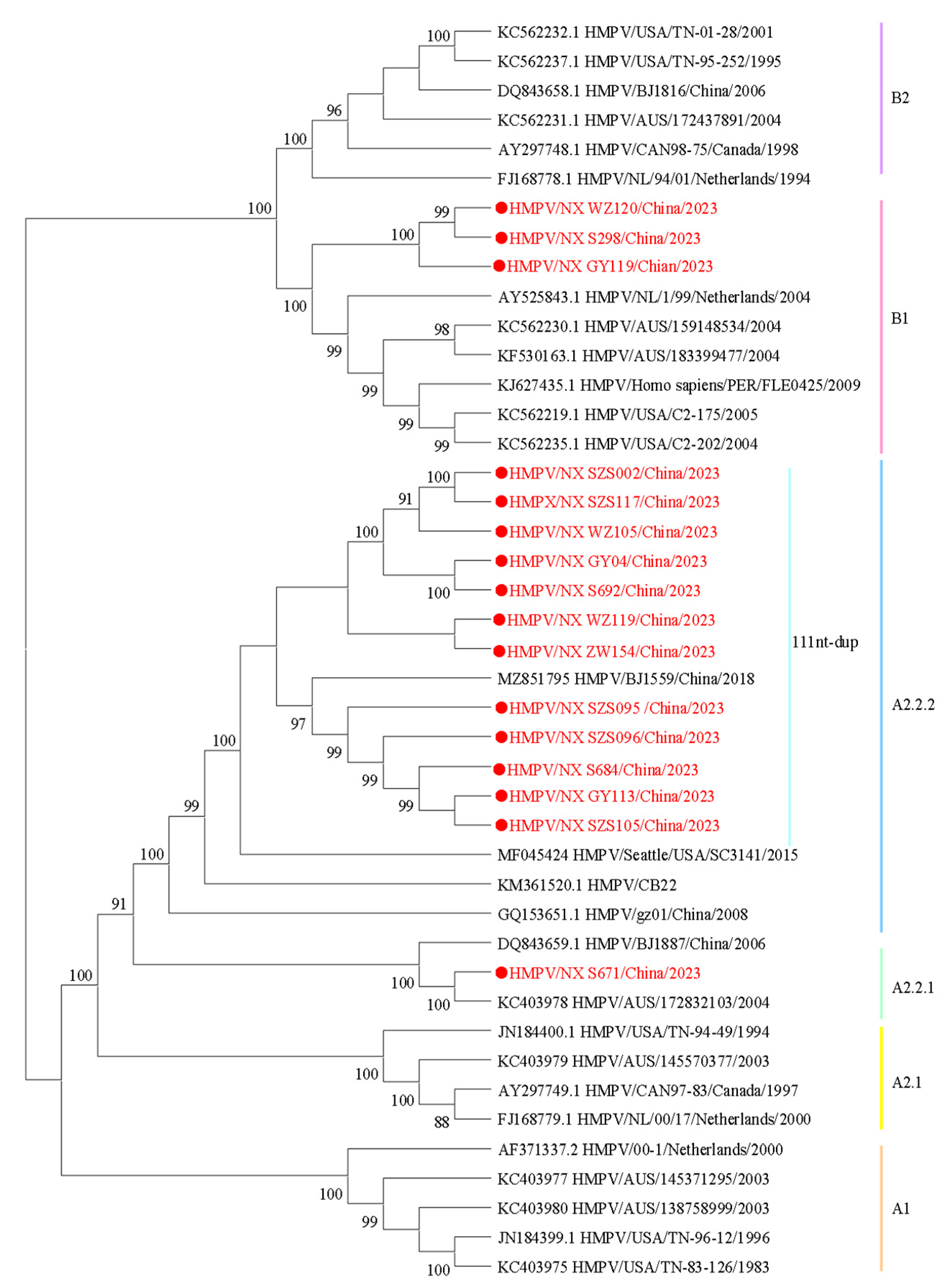 Diseases 13 00255 g002