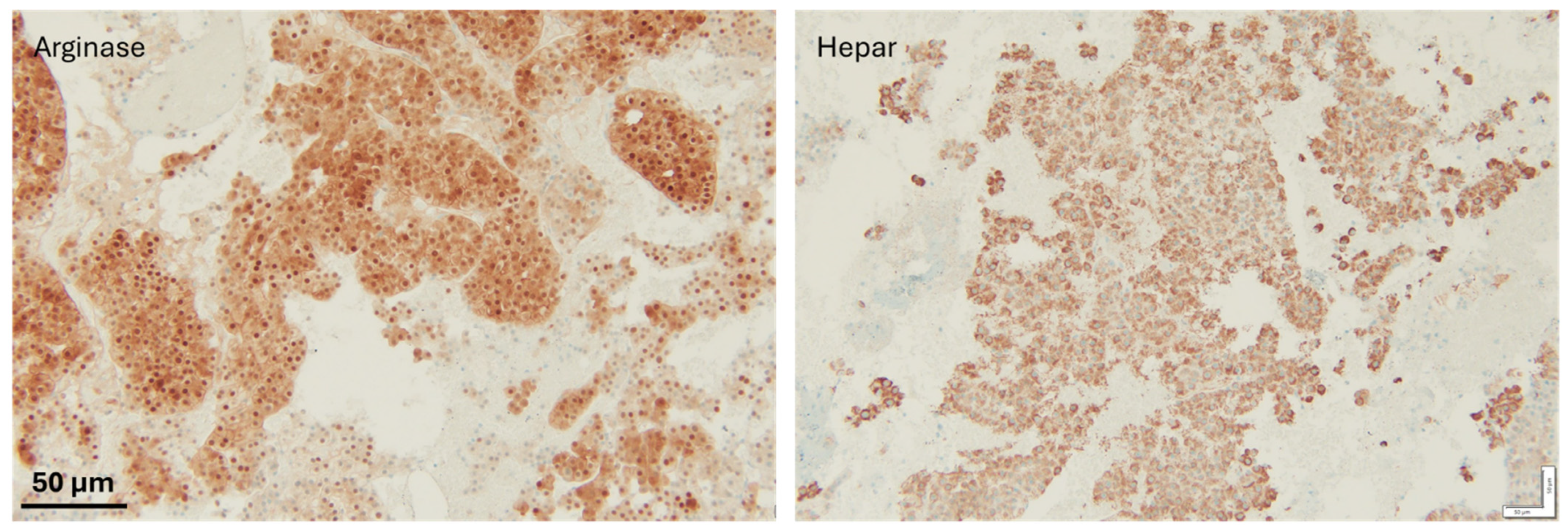 Diseases 13 00257 g004