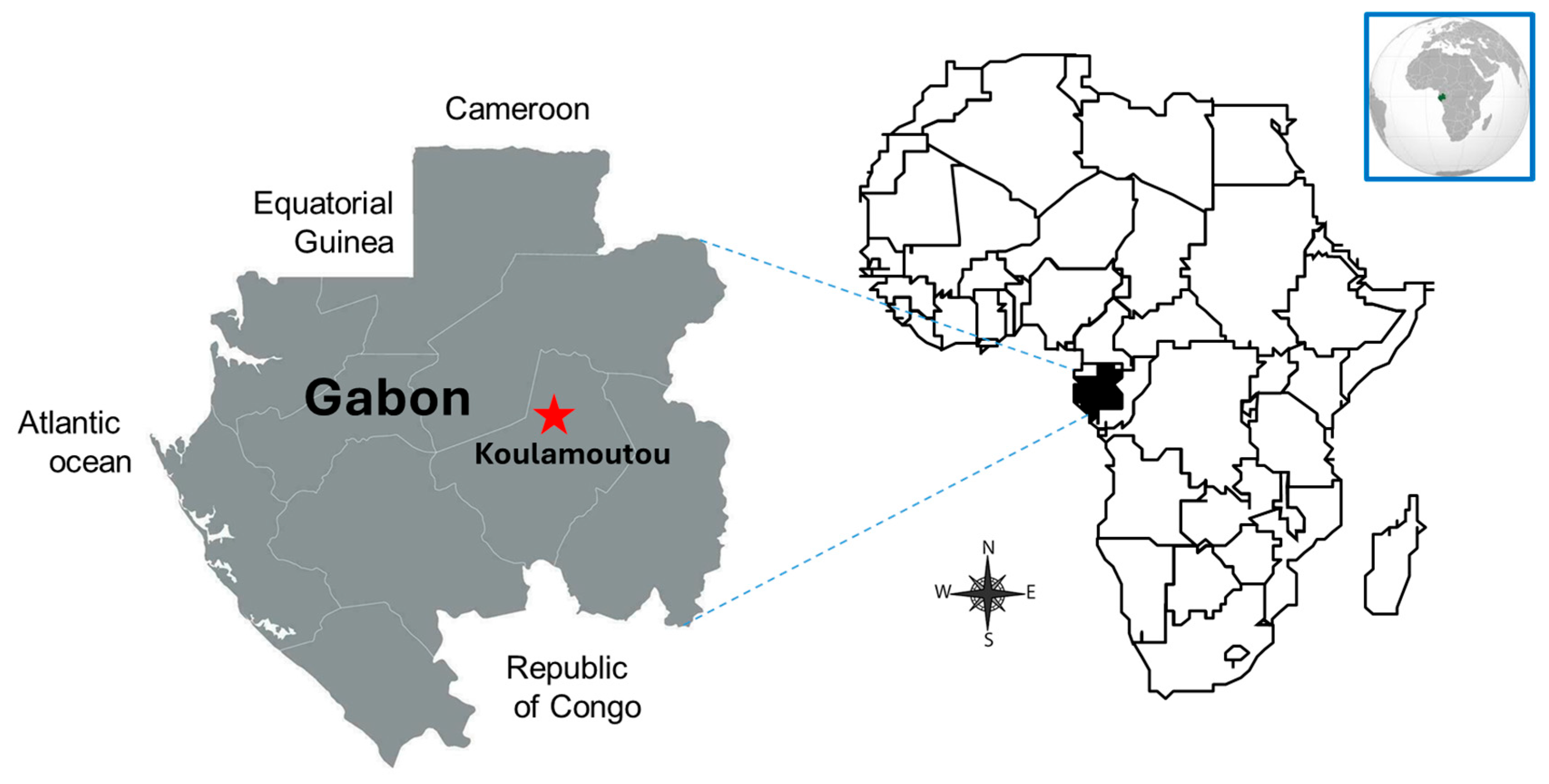 Diseases 13 00260 g001