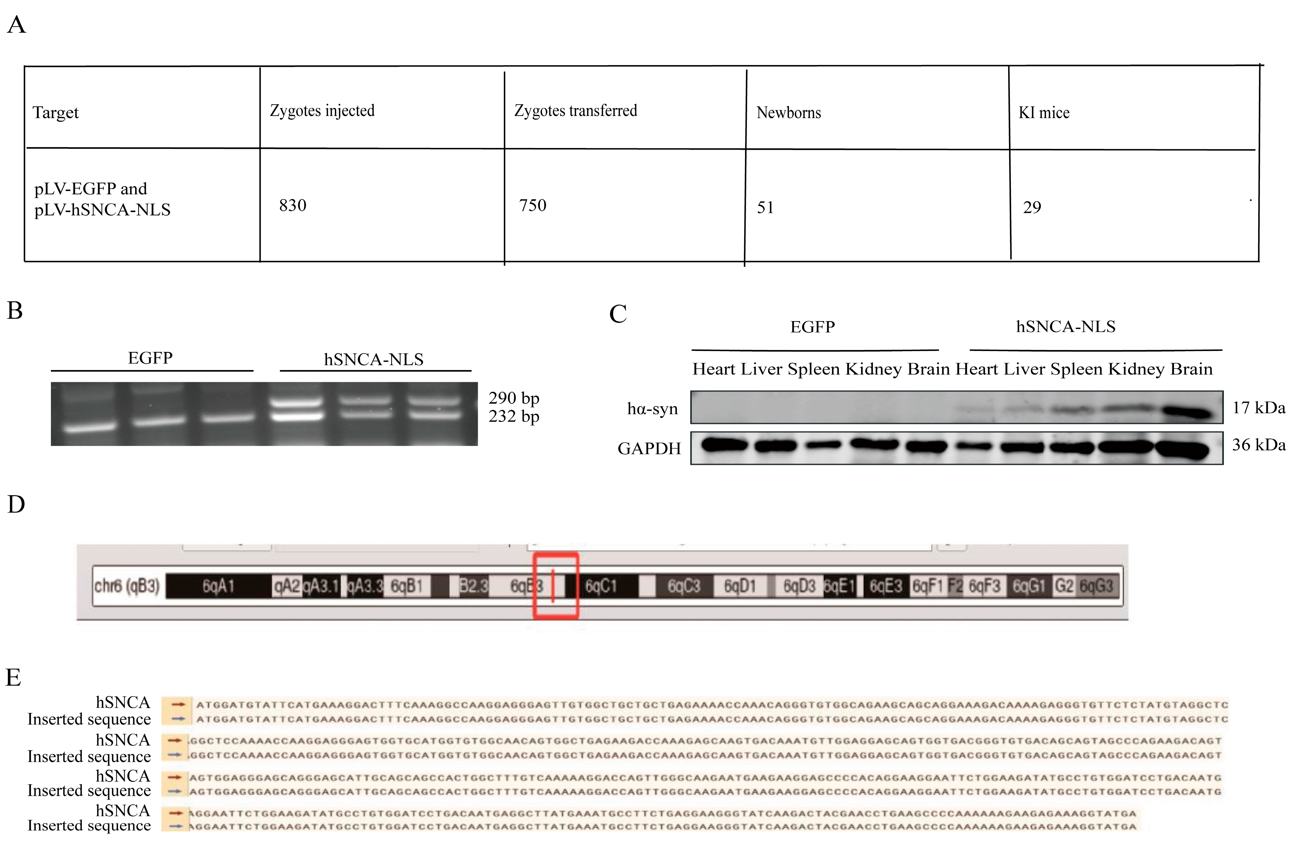 Diseases 13 00261 g002