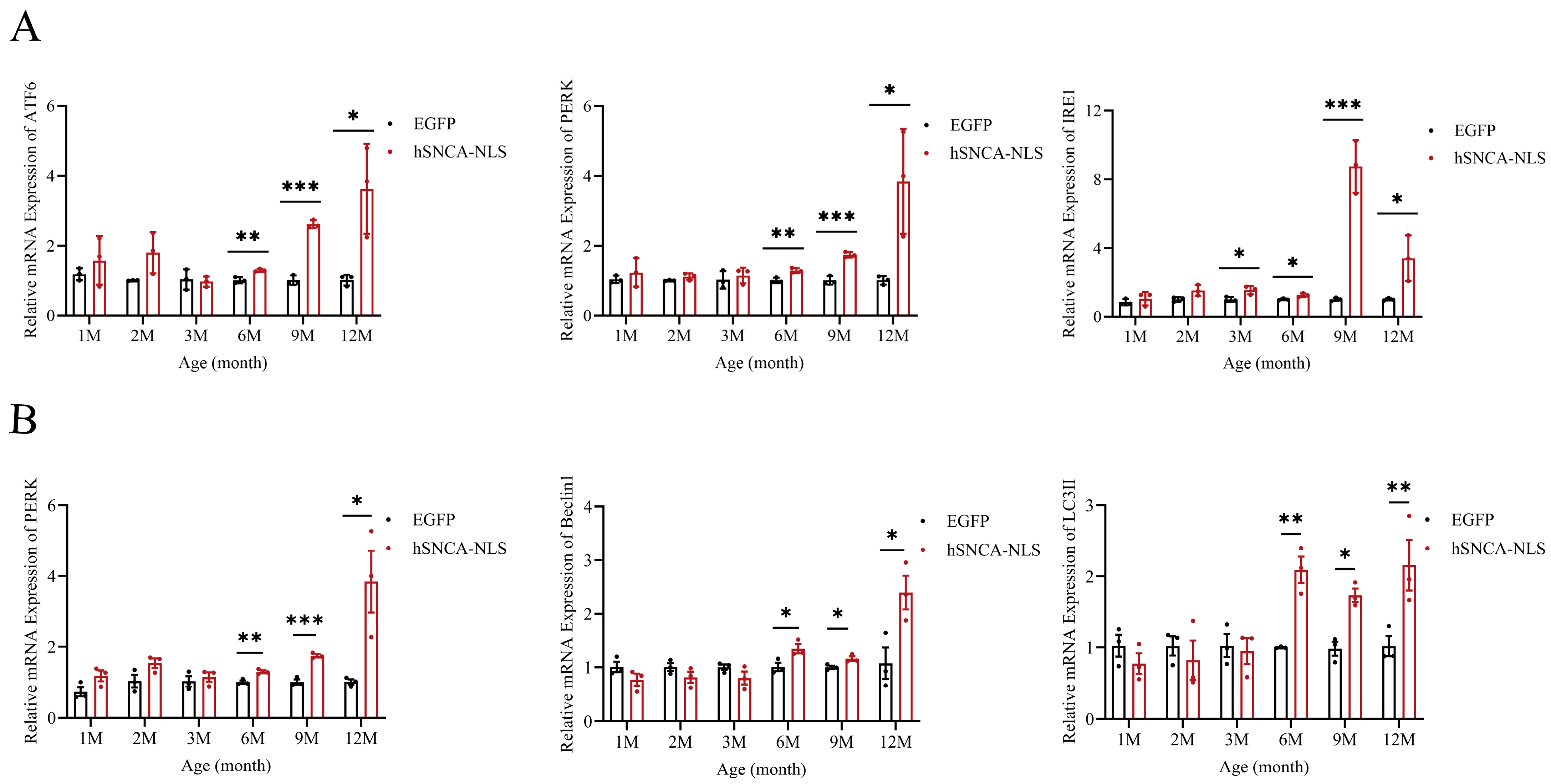 Diseases 13 00261 g006