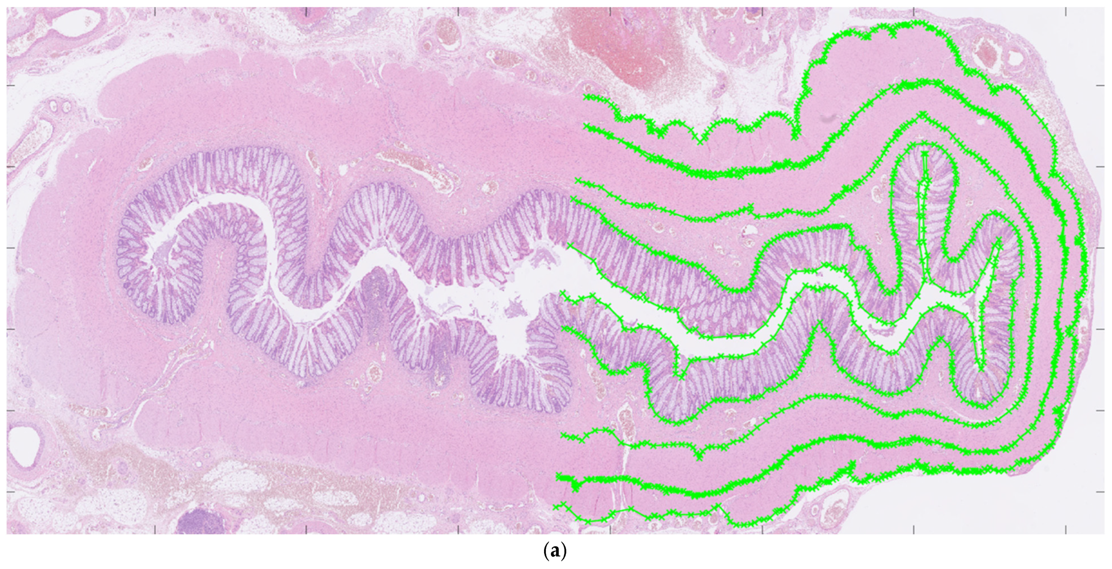 Diseases 13 00264 g001a