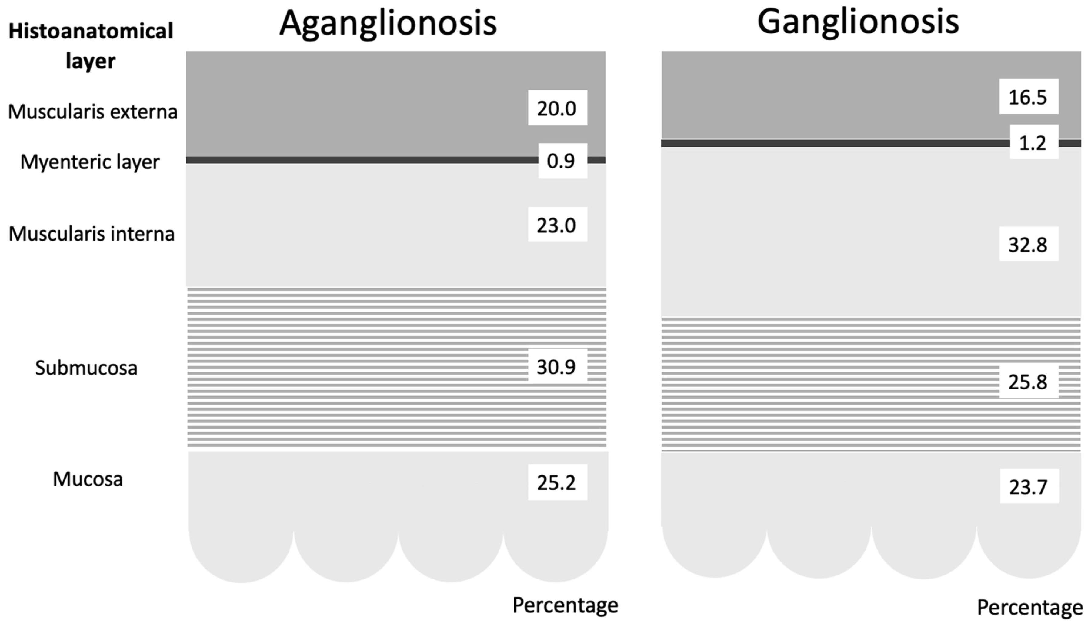 Diseases 13 00264 g002