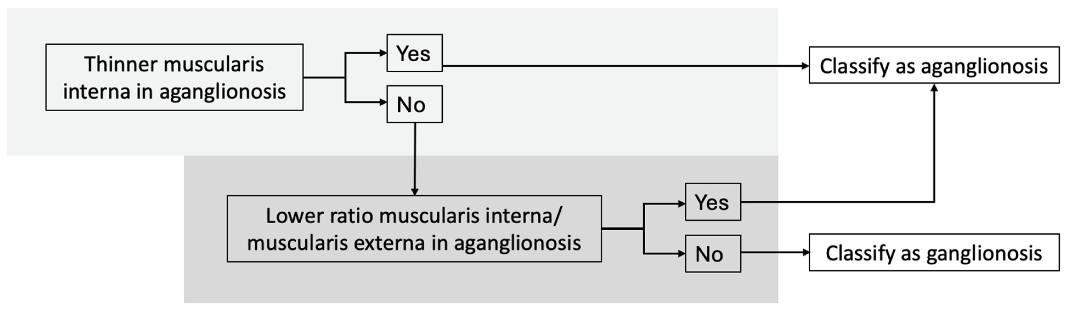 Diseases 13 00264 g004