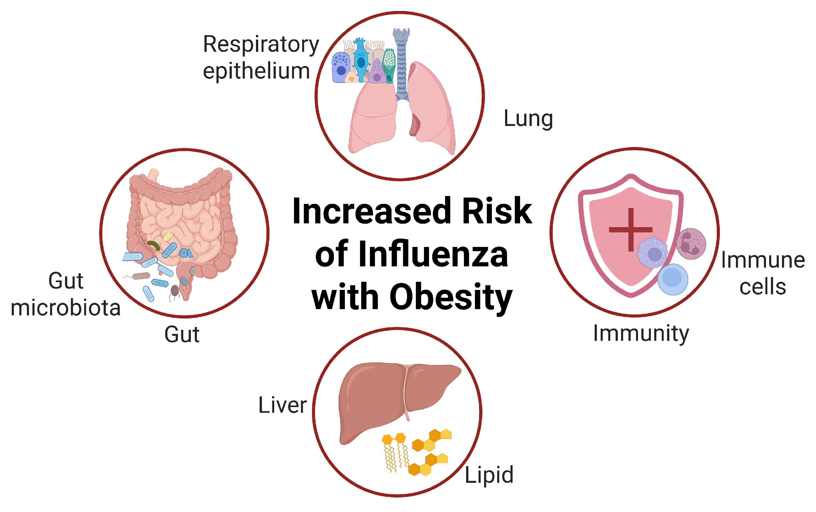 Diseases 13 00267 g001