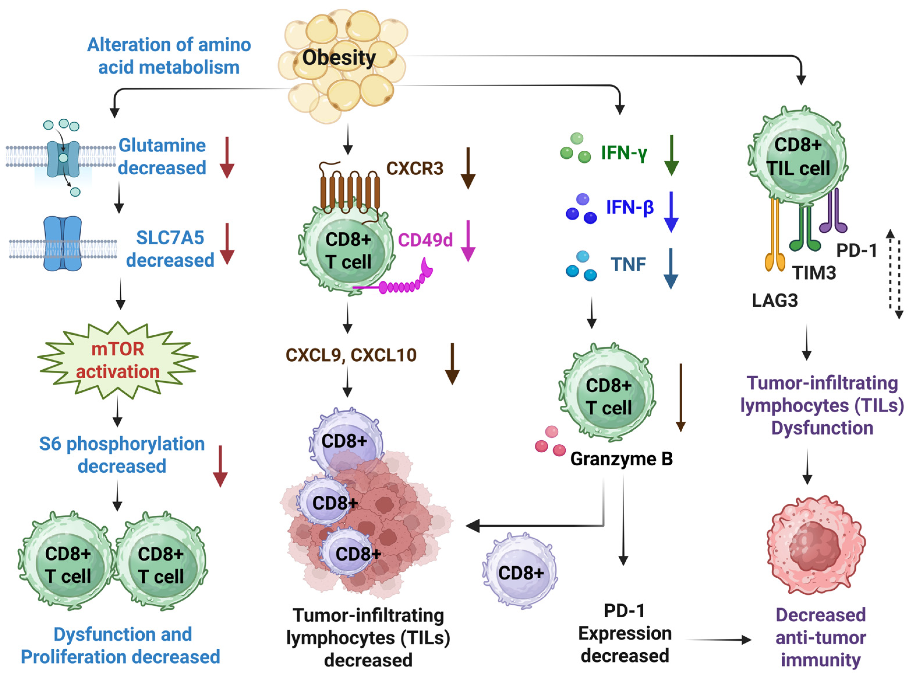 Diseases 13 00271 g001