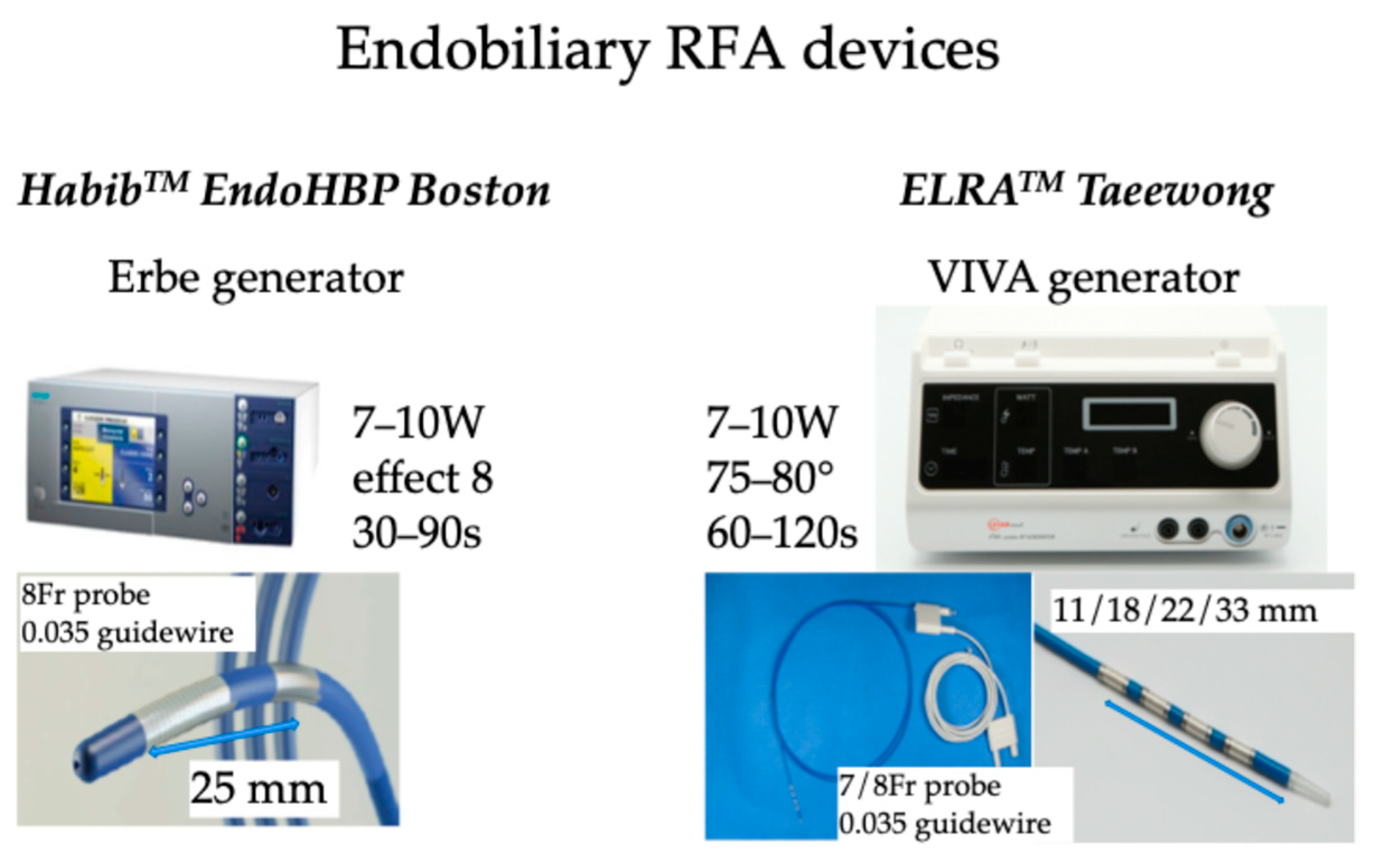 Diseases 13 00273 g002