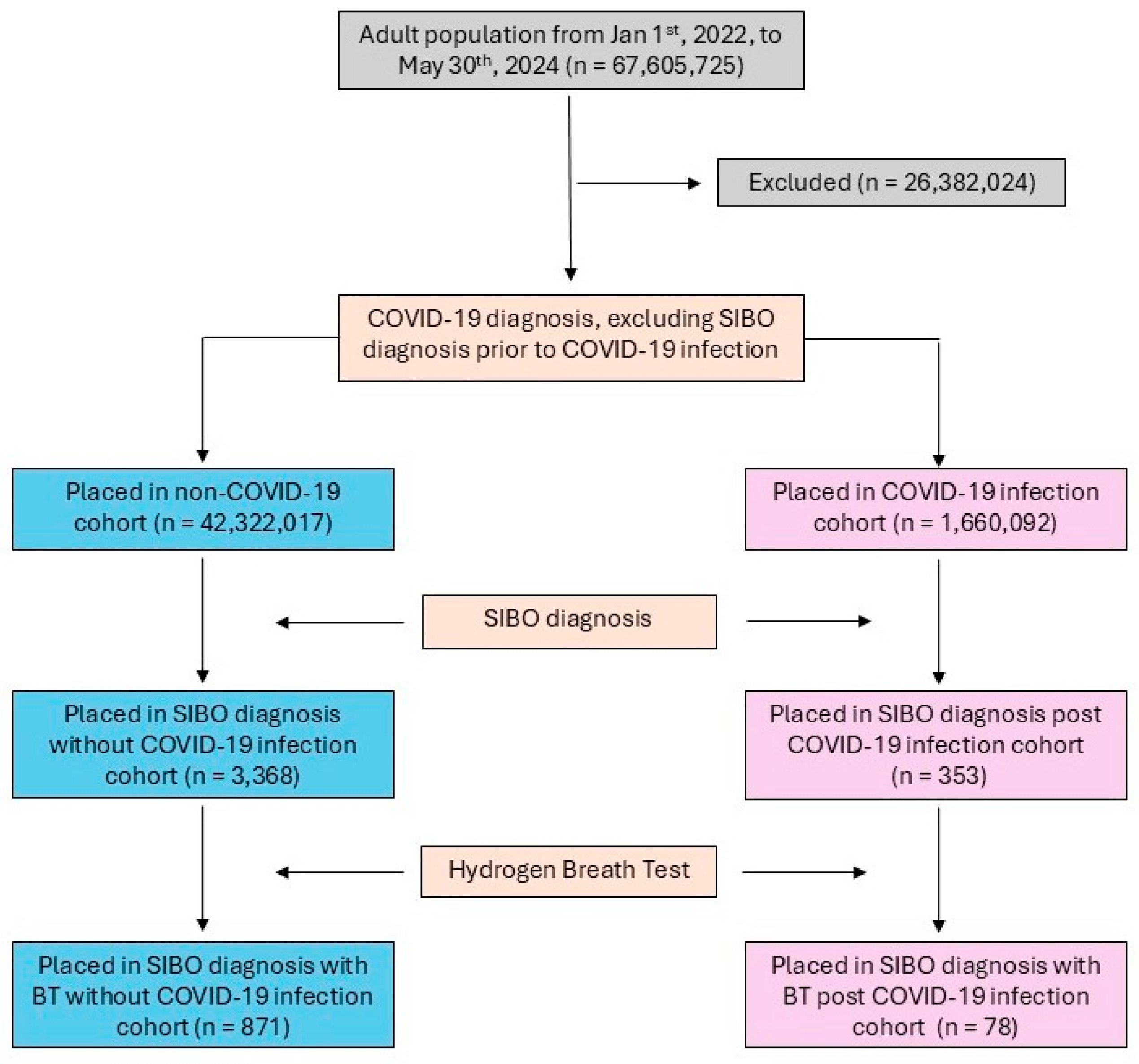 Diseases 13 00275 g001