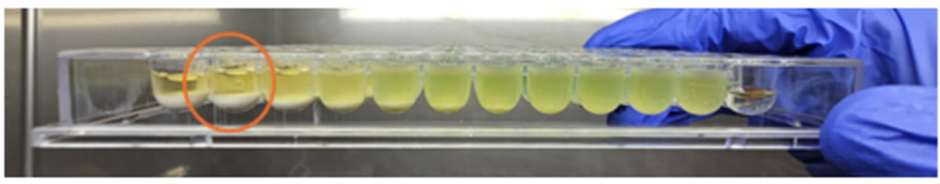 Diseases 13 00277 g001