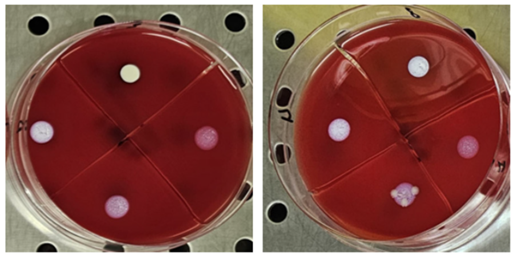 Diseases 13 00277 g002