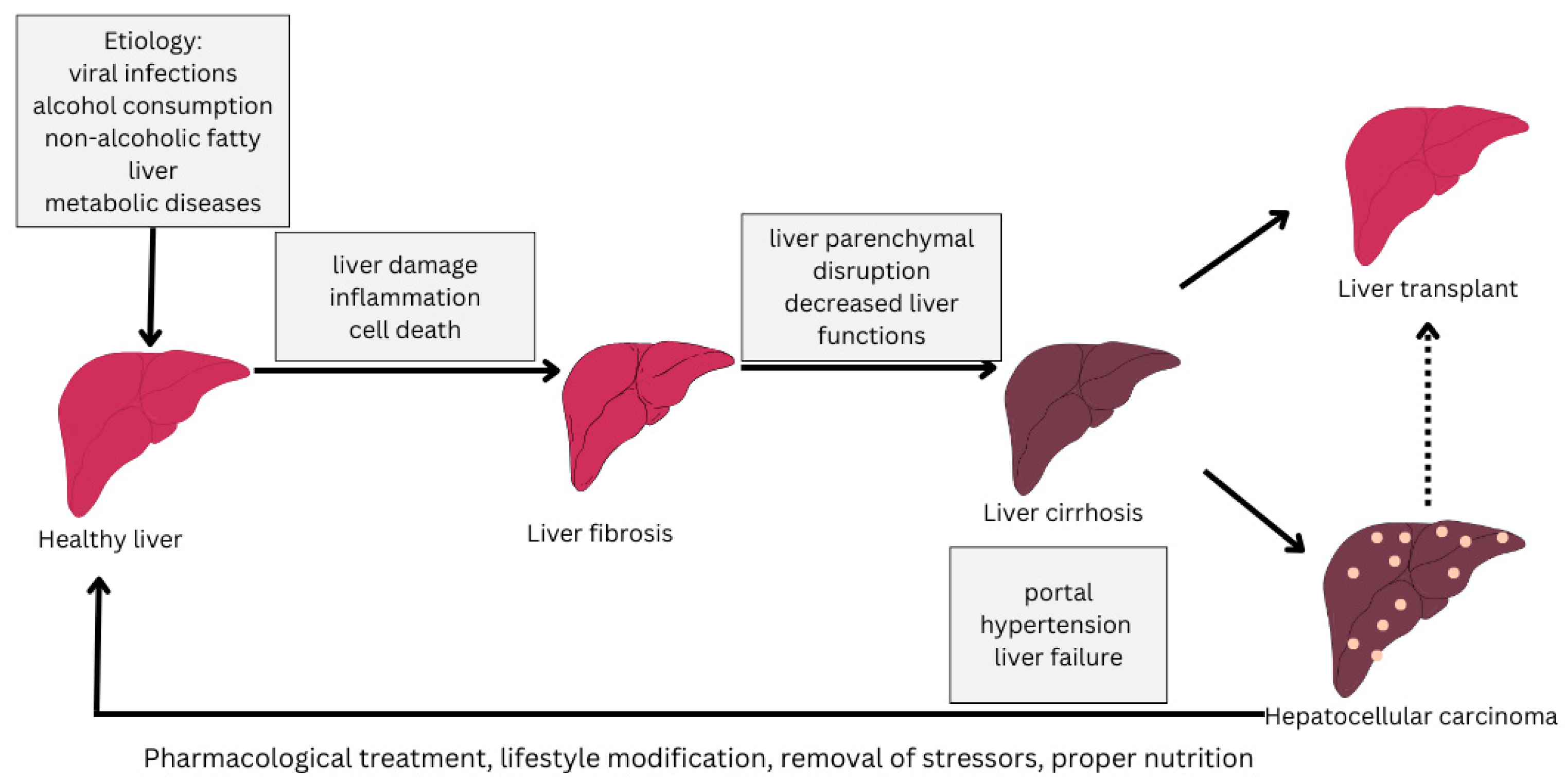 Diseases 13 00278 g001