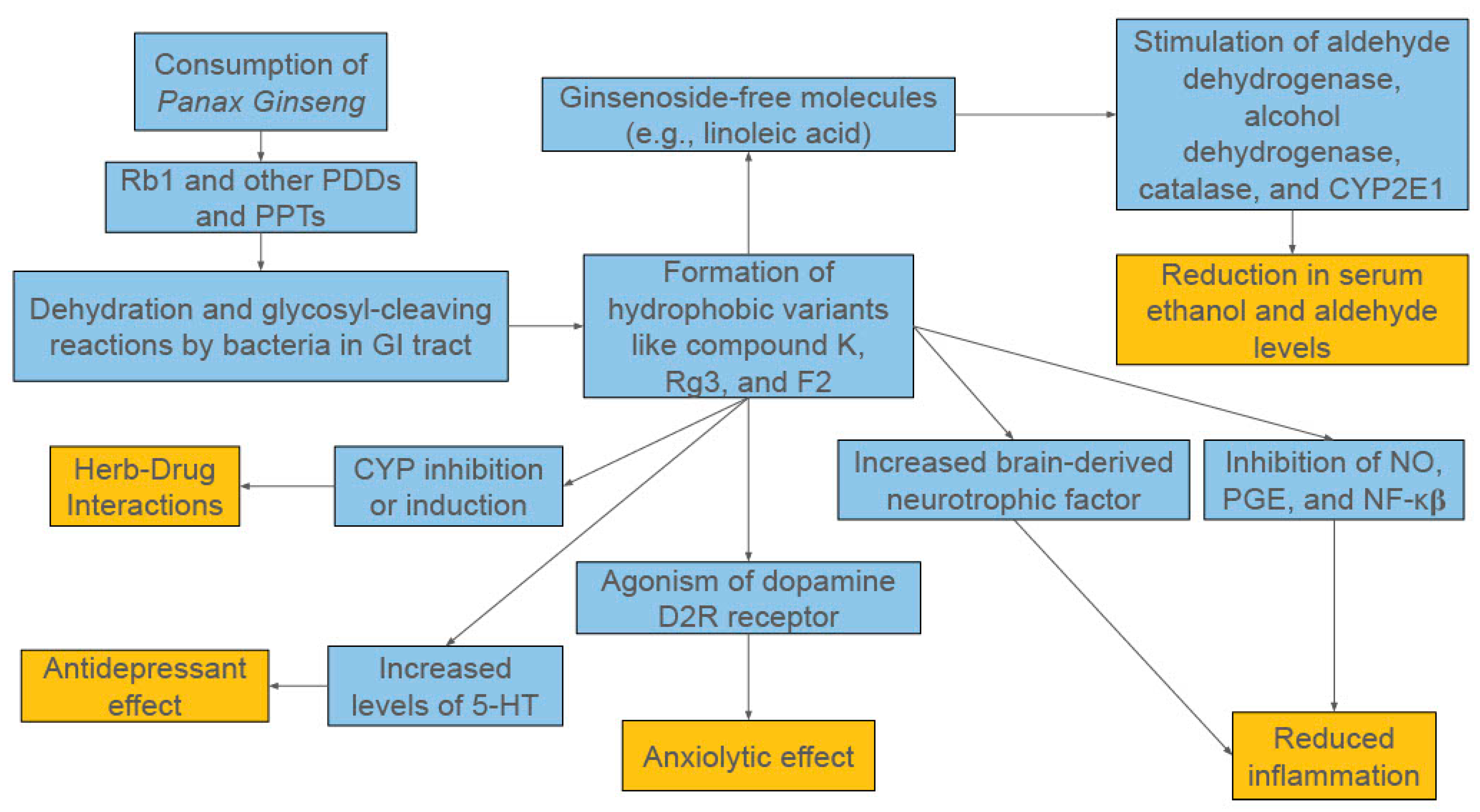 Diseases 13 00285 g001