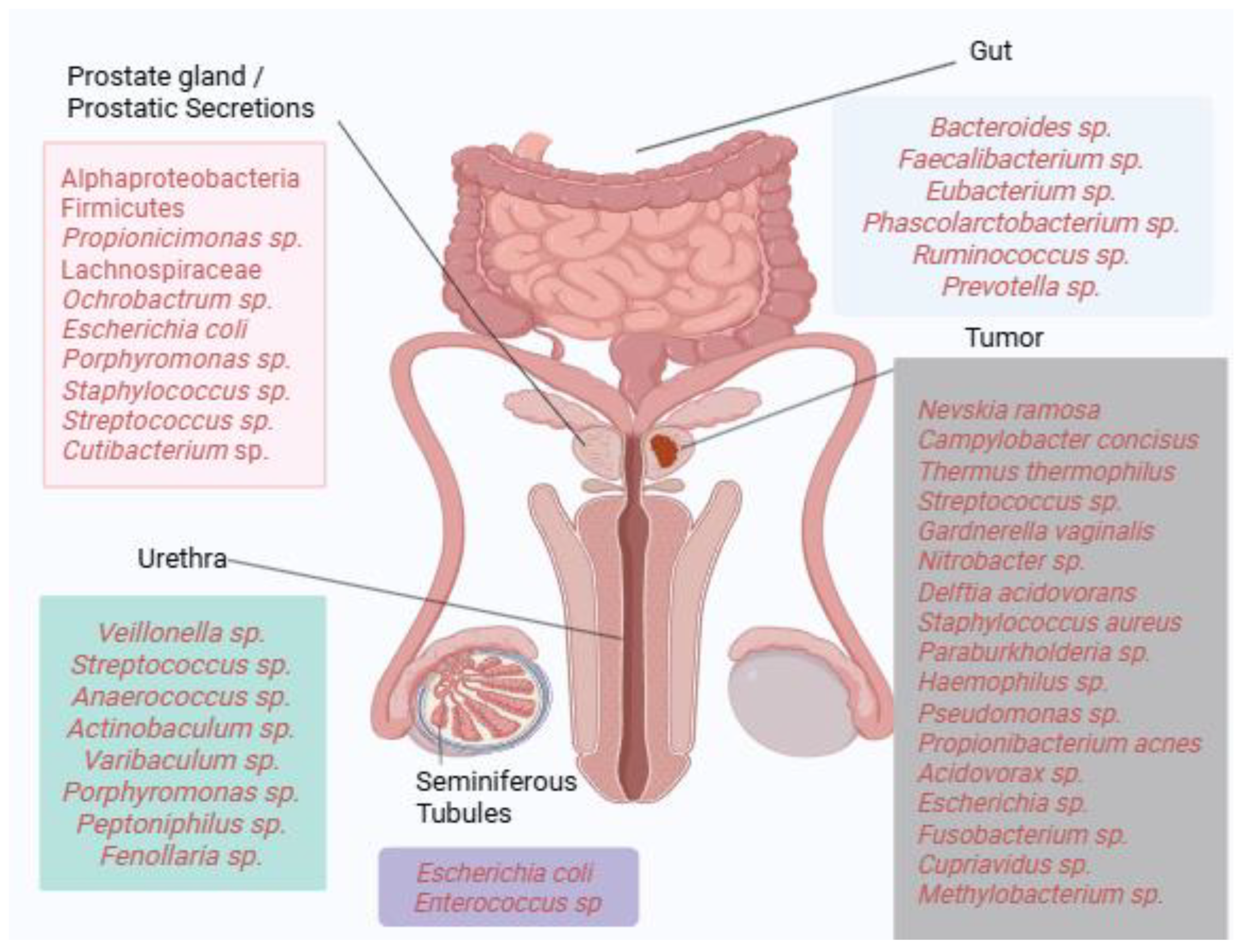 Diseases 13 00294 g001