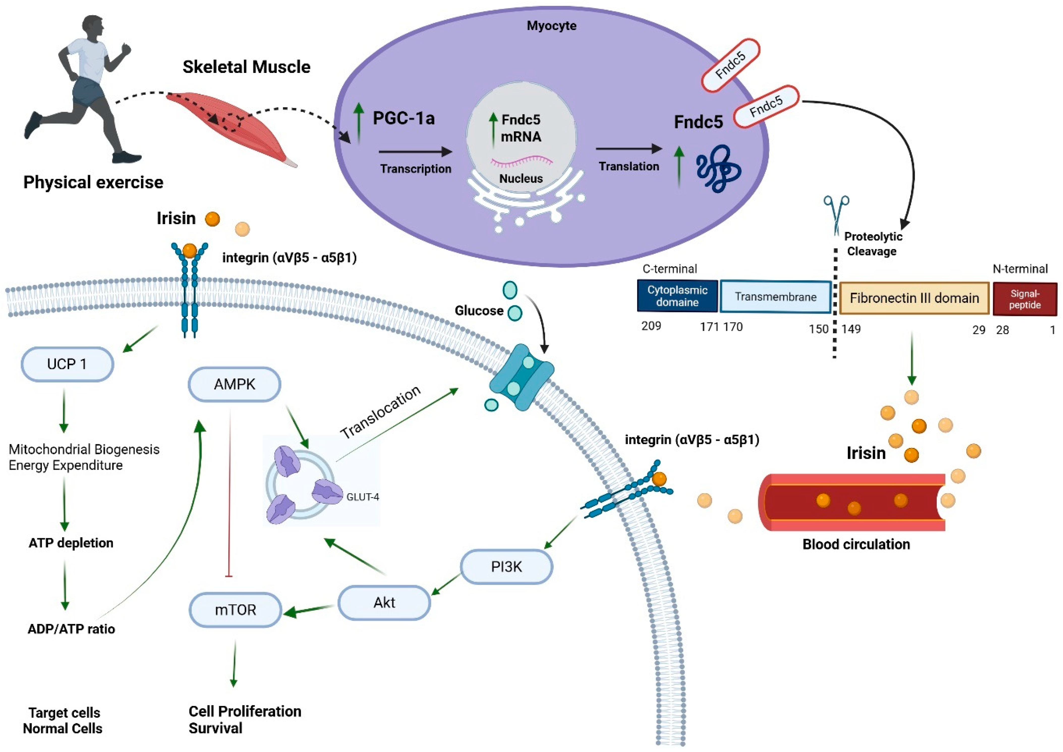 Diseases 13 00304 g001