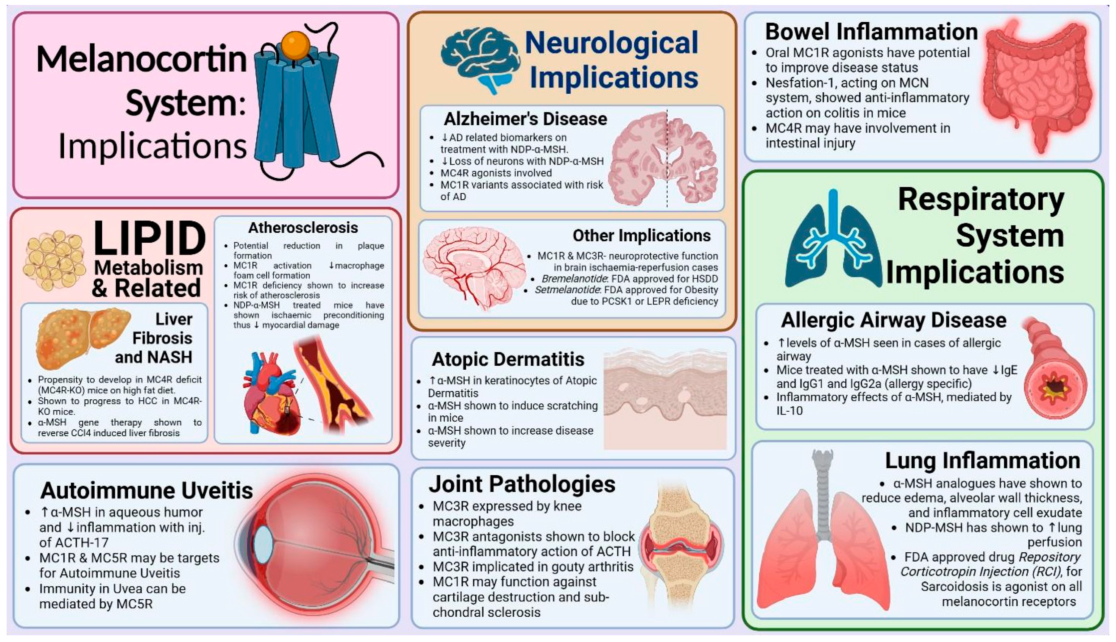 Diseases 13 00305 g002