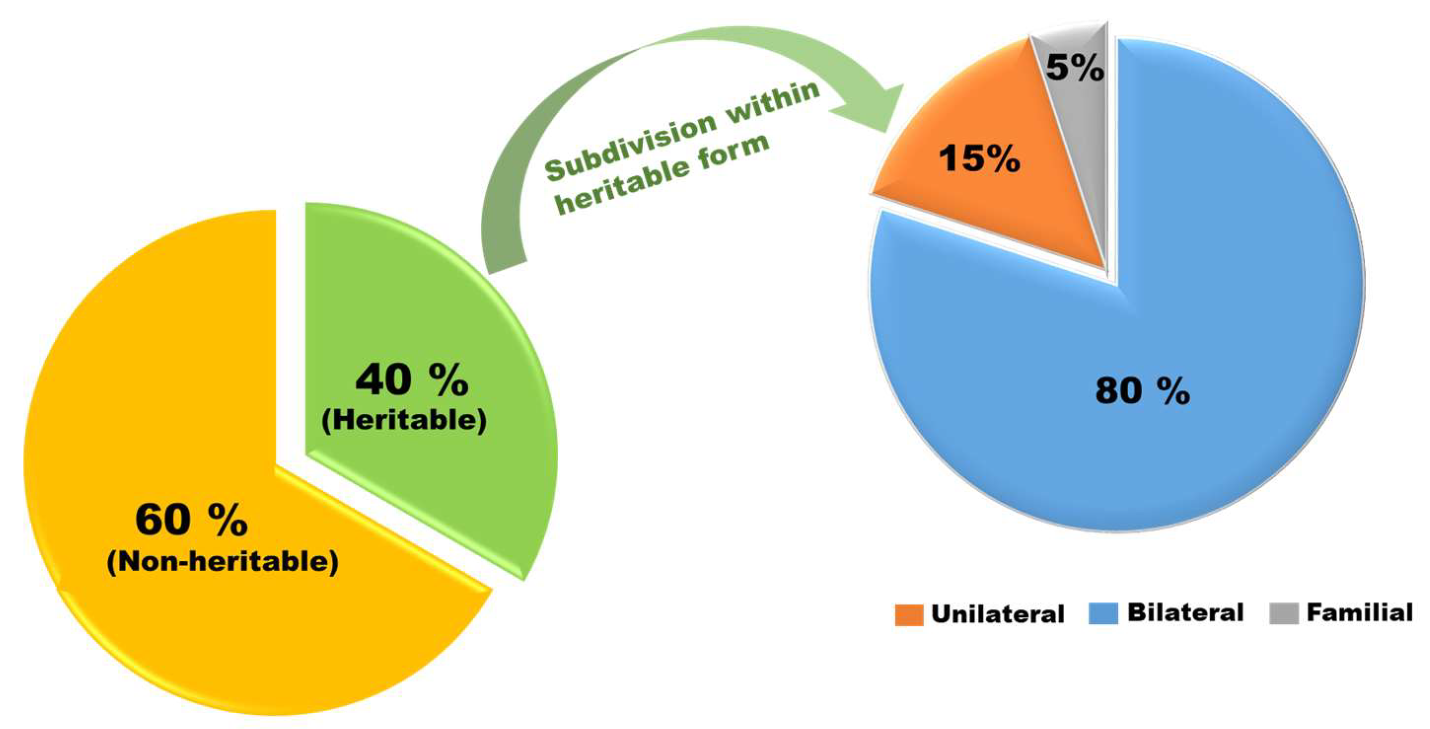 Diseases 13 00307 g002