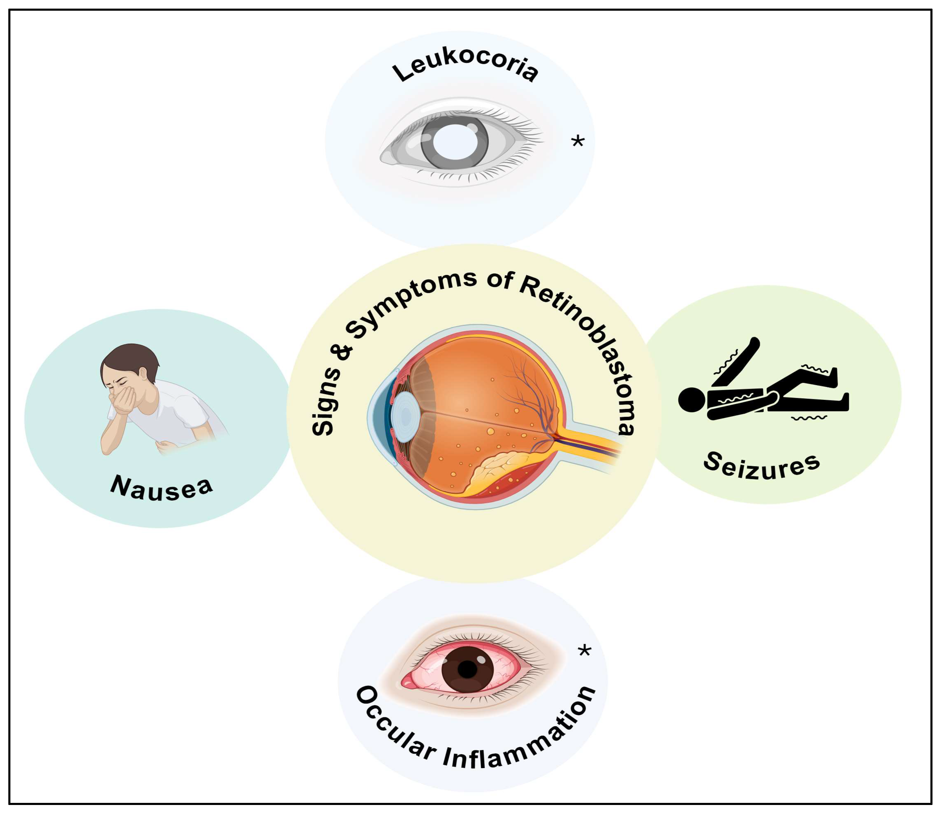 Diseases 13 00307 g004