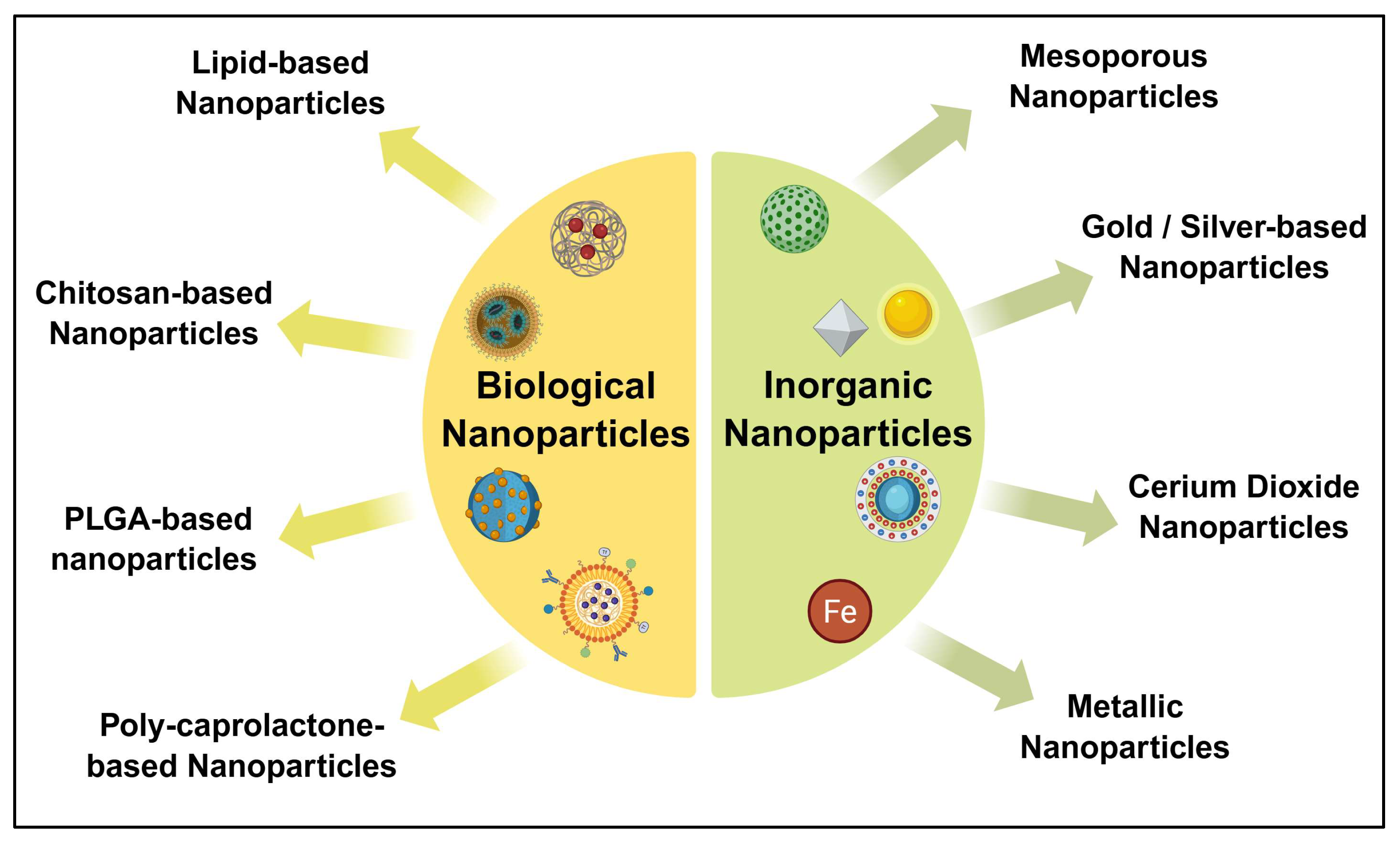 Diseases 13 00307 g006