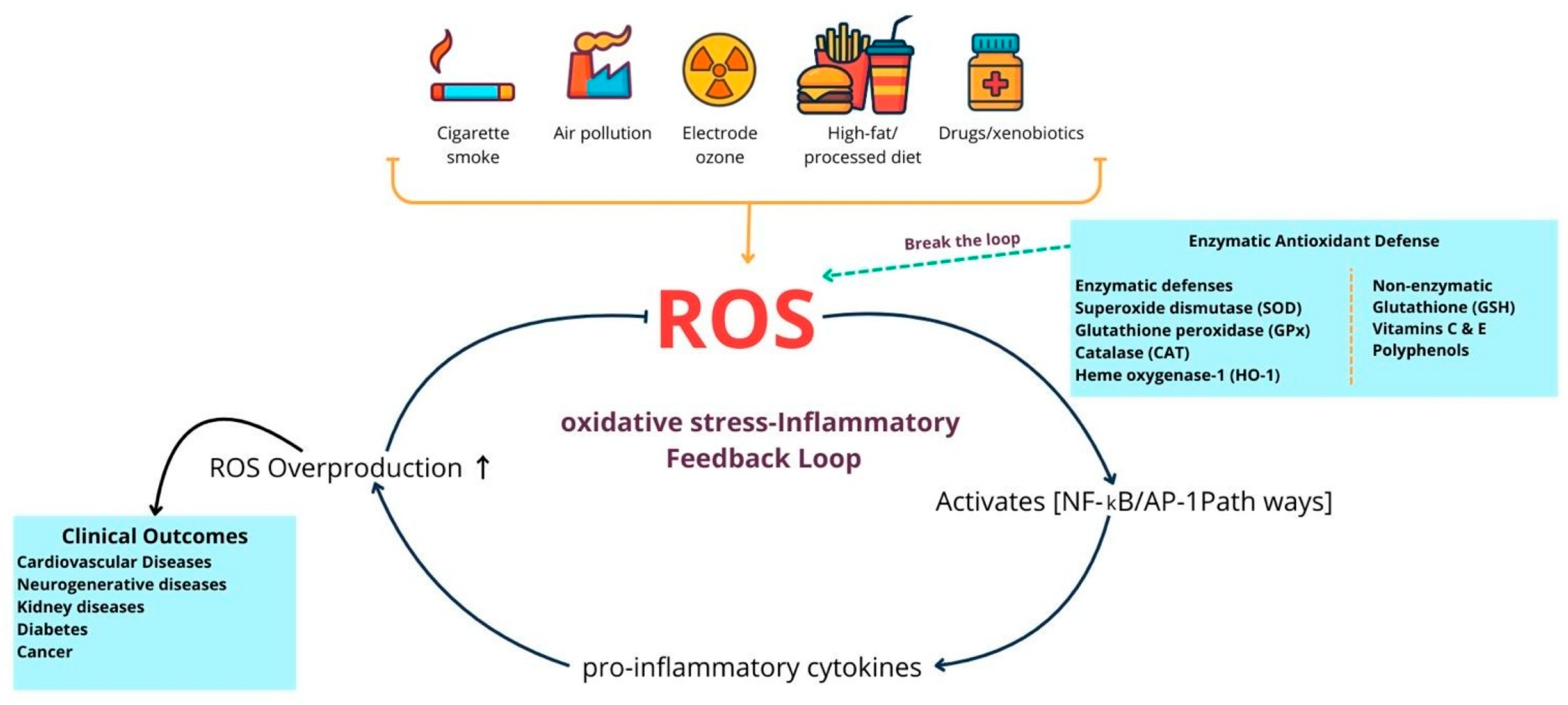 Diseases 13 00309 g001