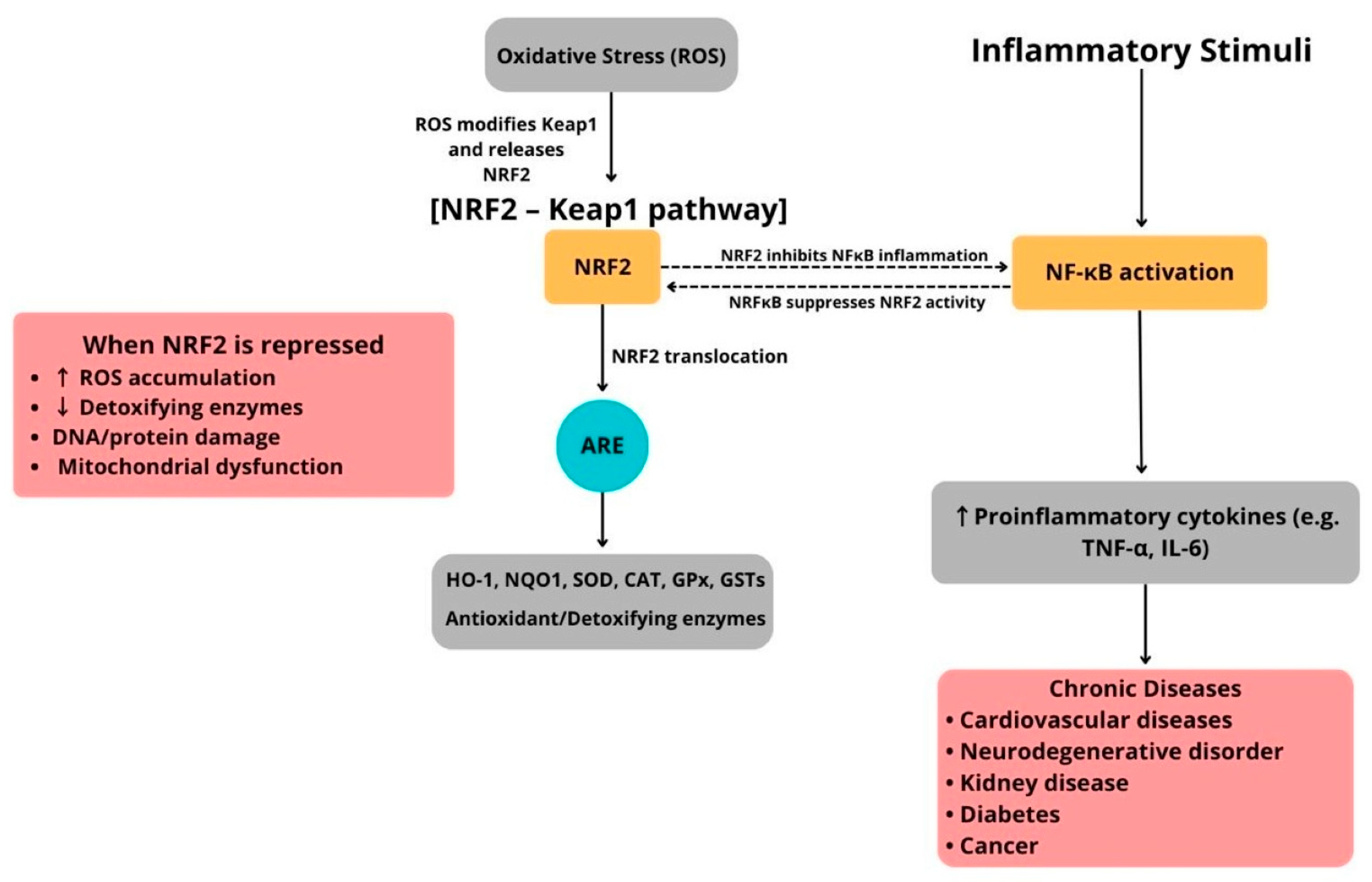 Diseases 13 00309 g002