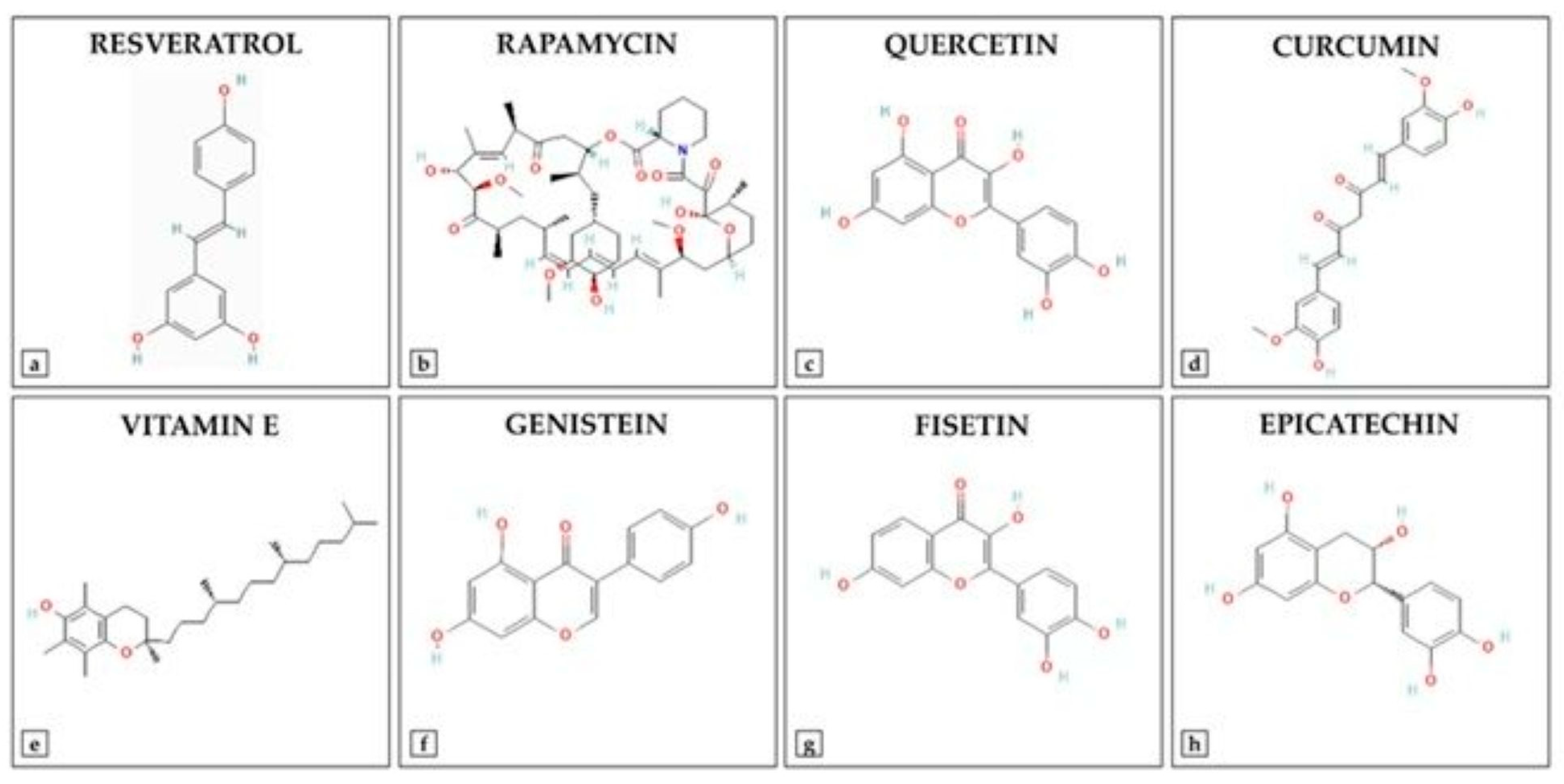 Diseases 13 00309 g003