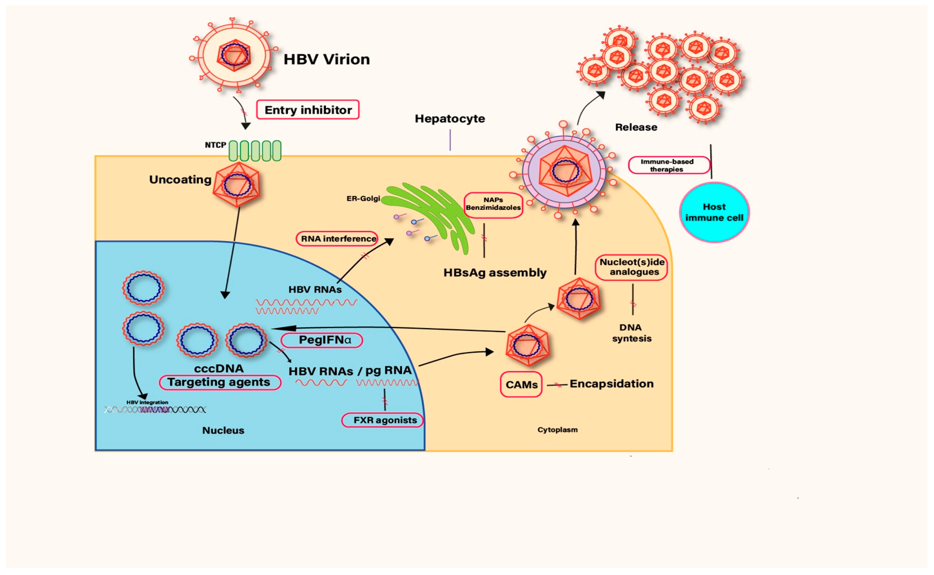 Diseases 13 00311 g001