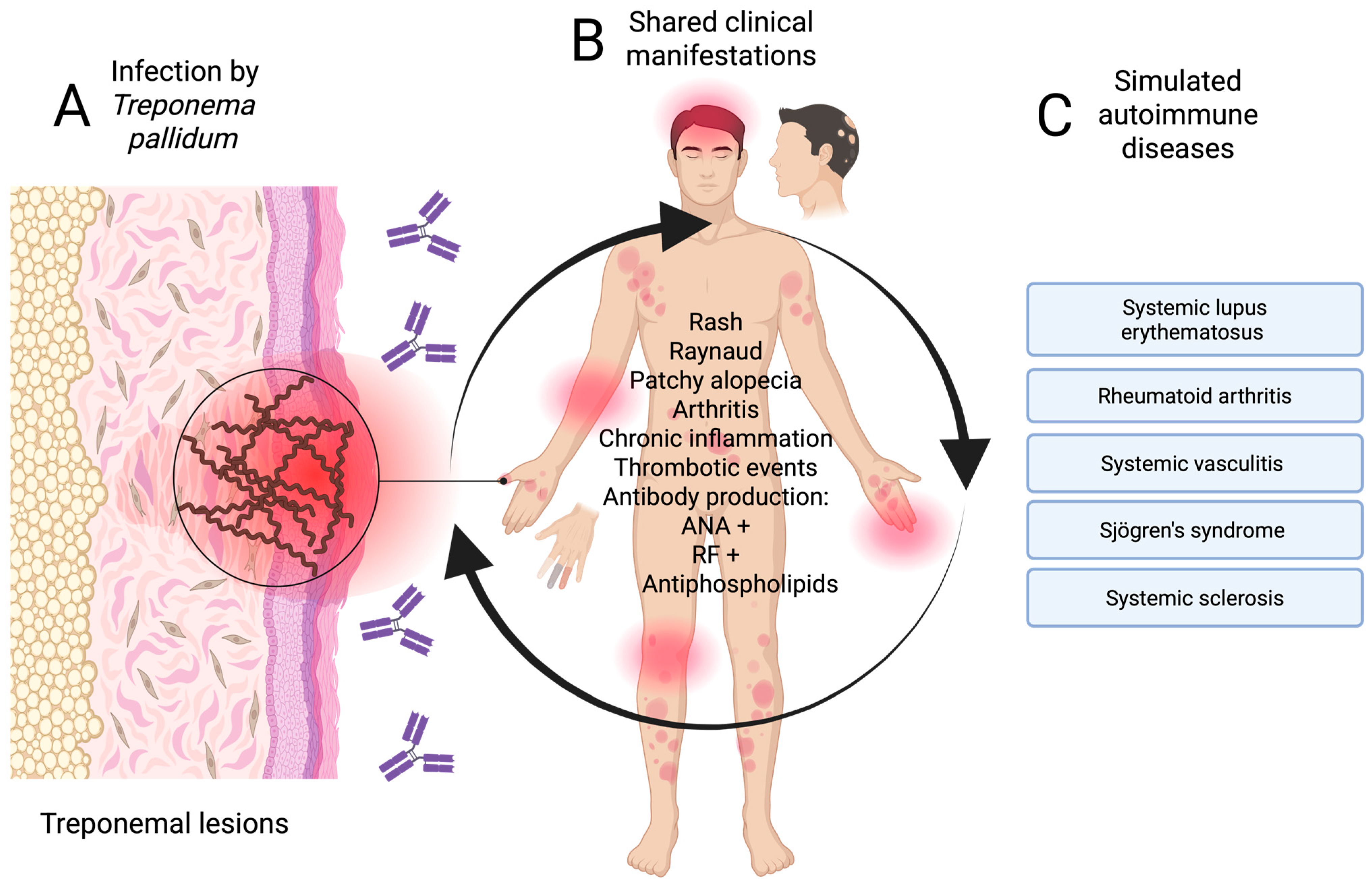 Diseases 13 00318 g002