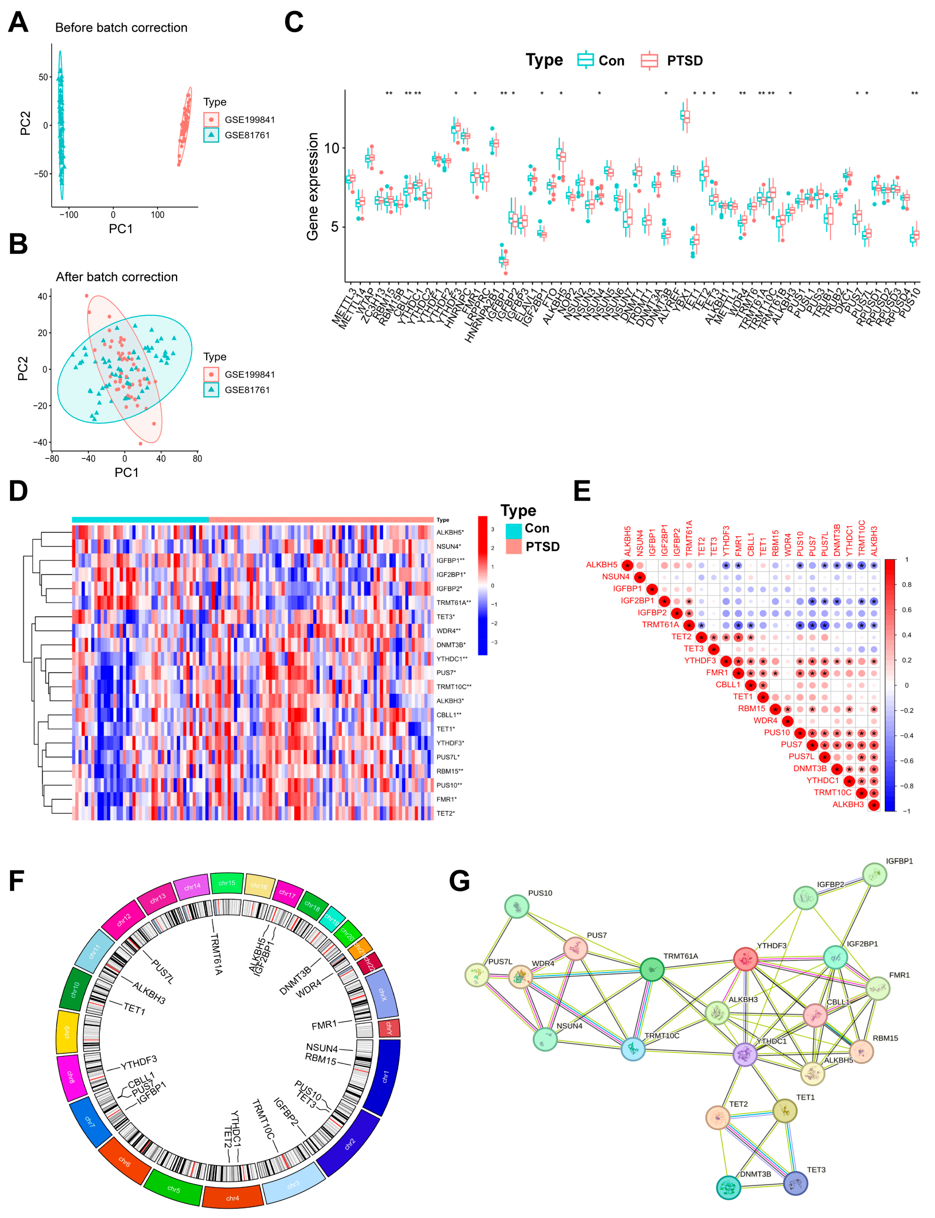 Diseases 13 00323 g002