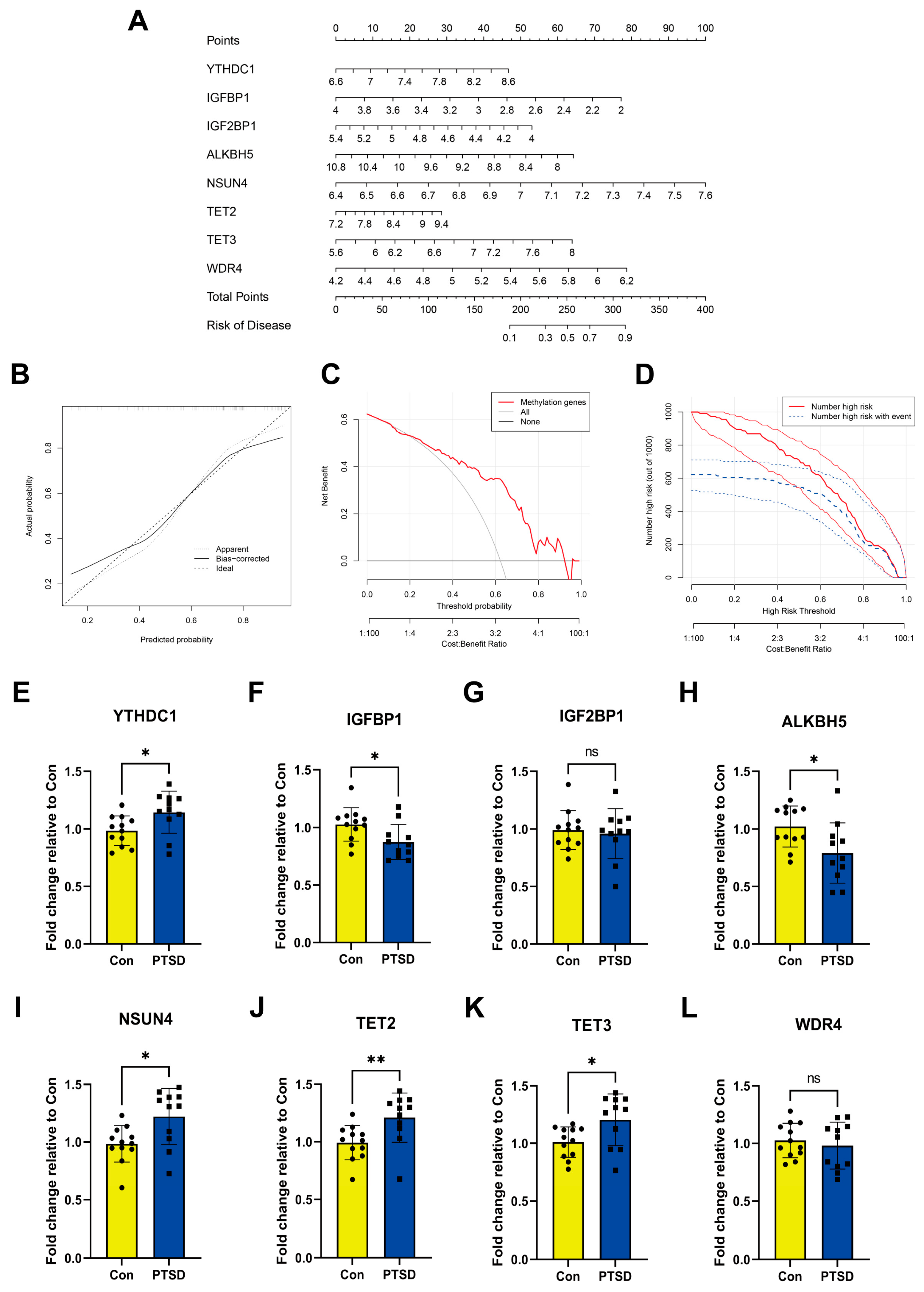 Diseases 13 00323 g004
