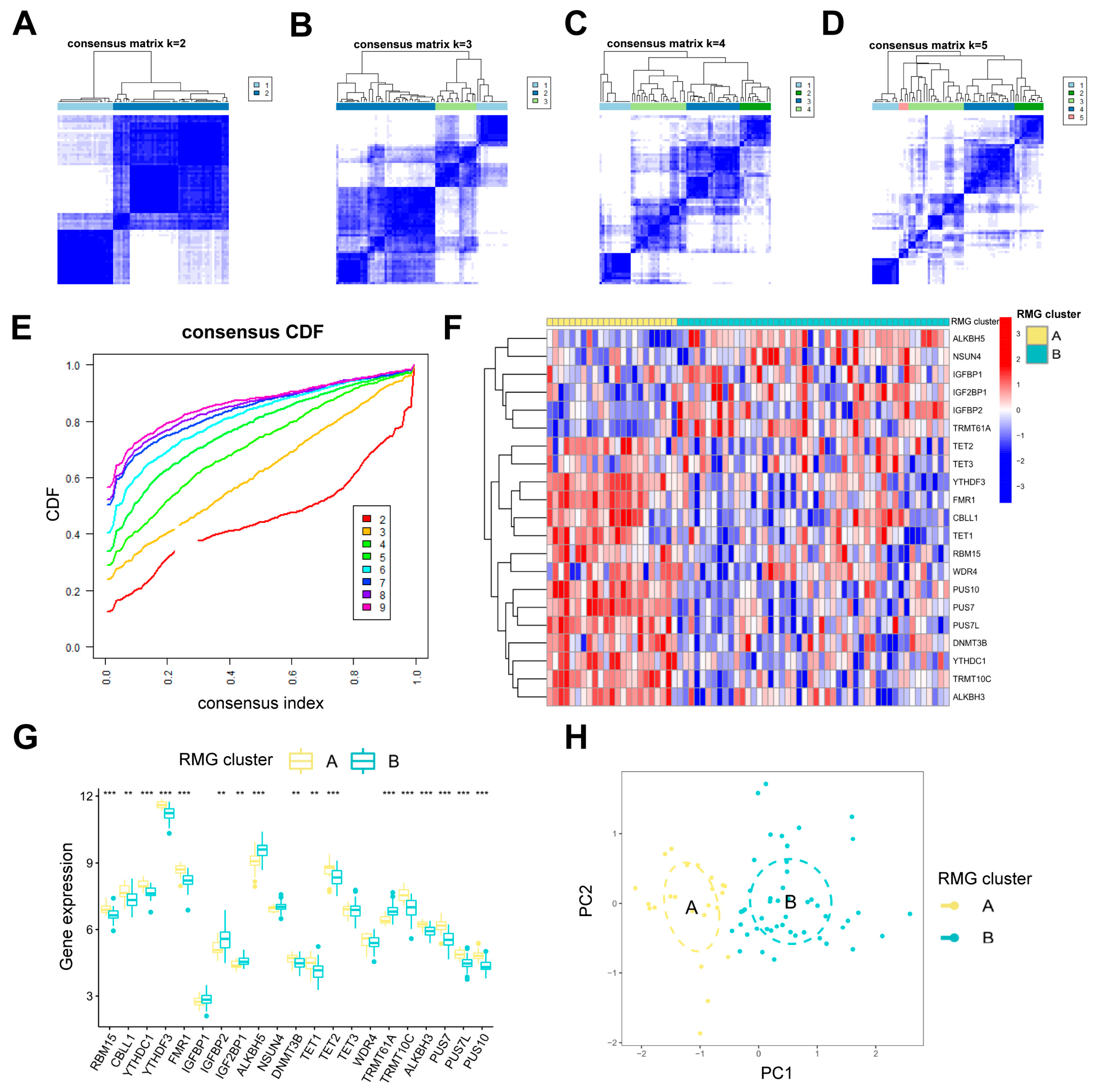 Diseases 13 00323 g005