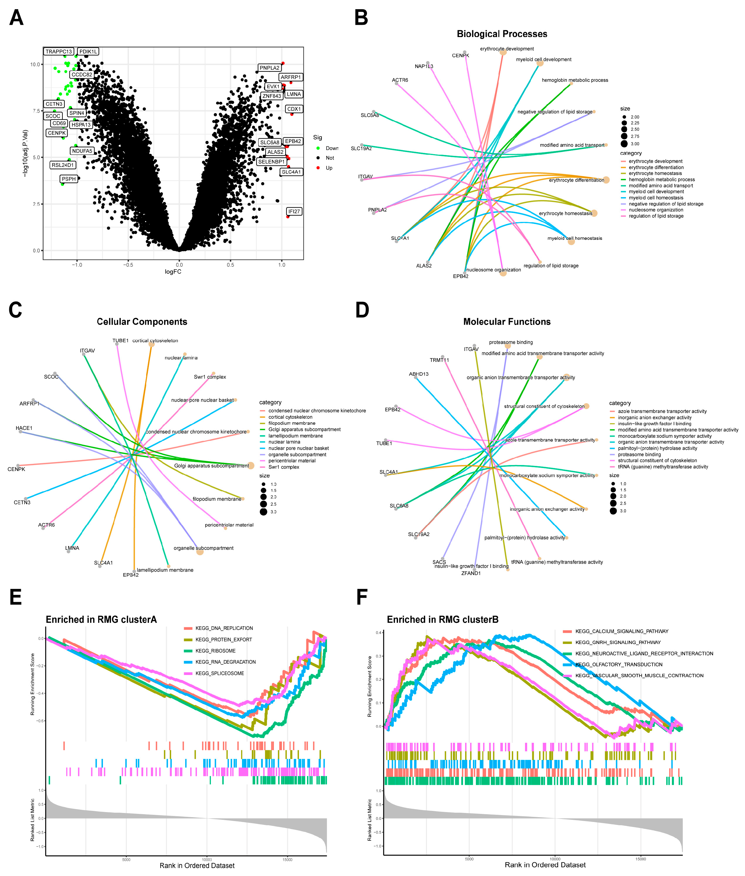 Diseases 13 00323 g007