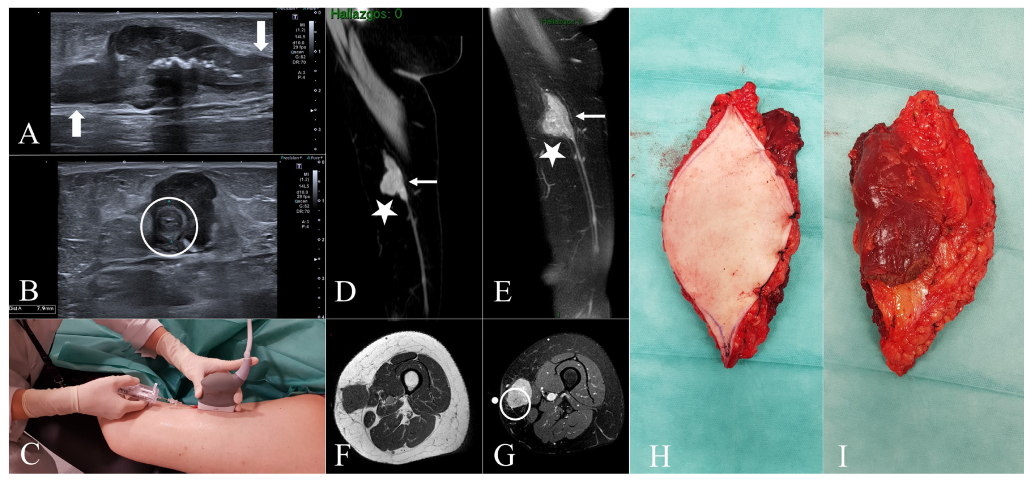 Diseases 13 00330 g001