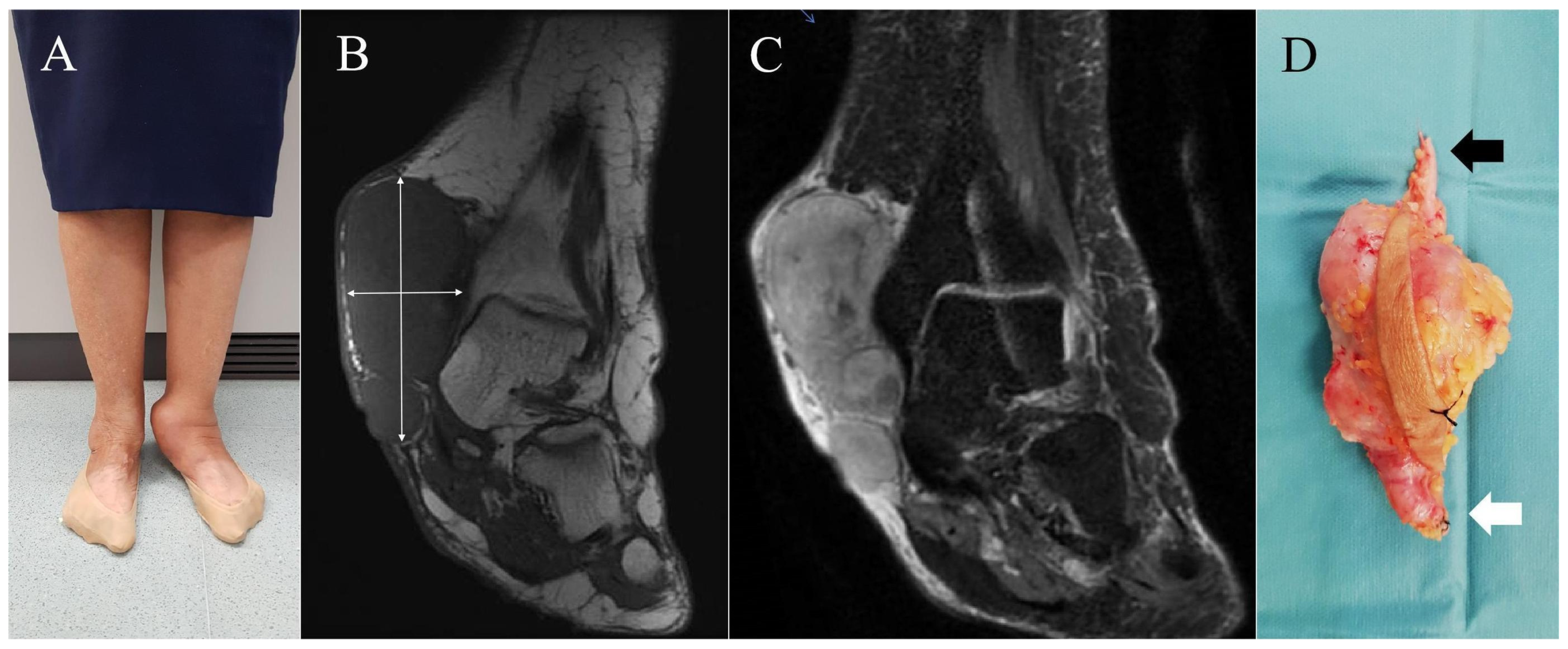 Diseases 13 00330 g003