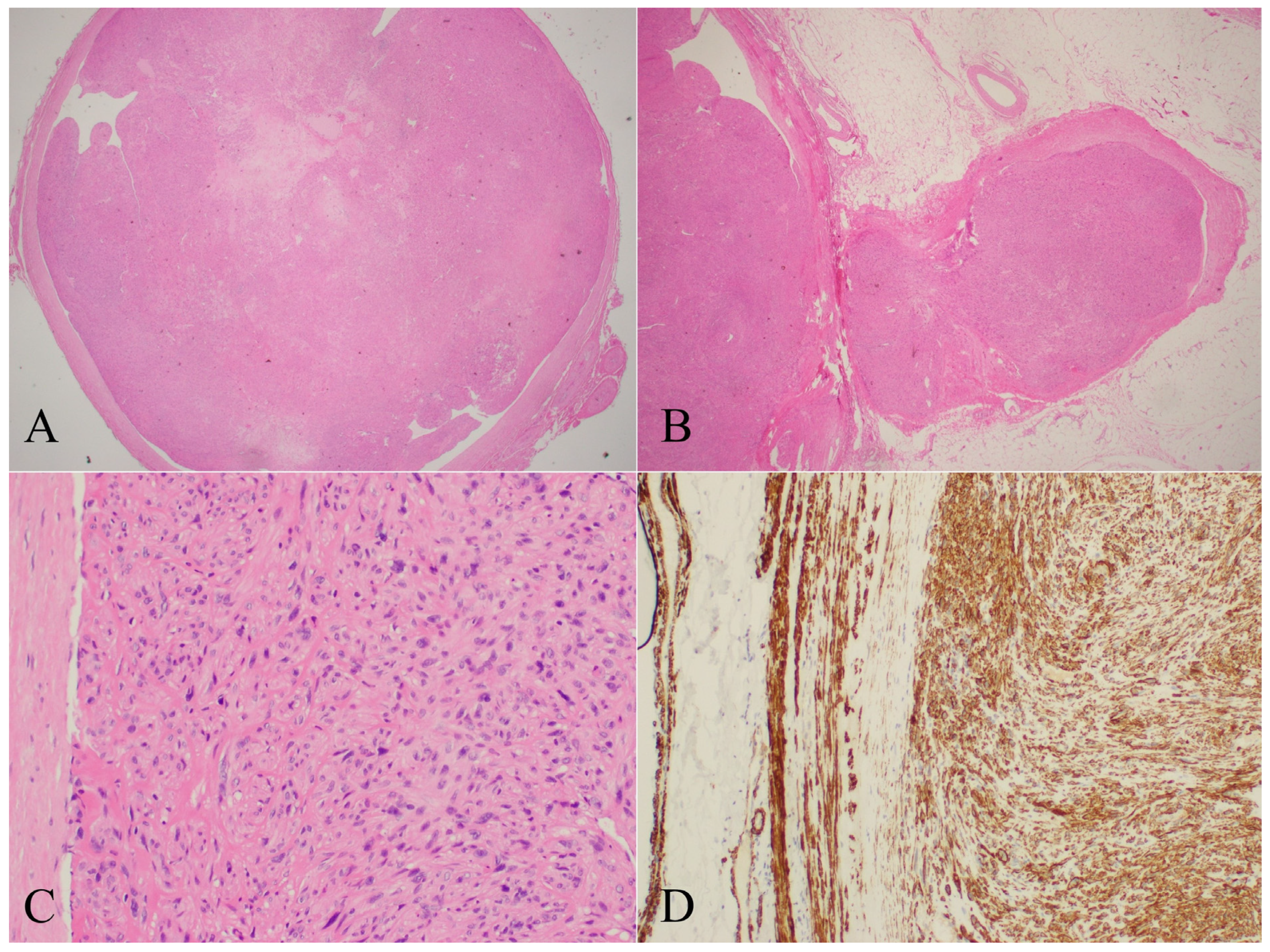 Diseases 13 00330 g004