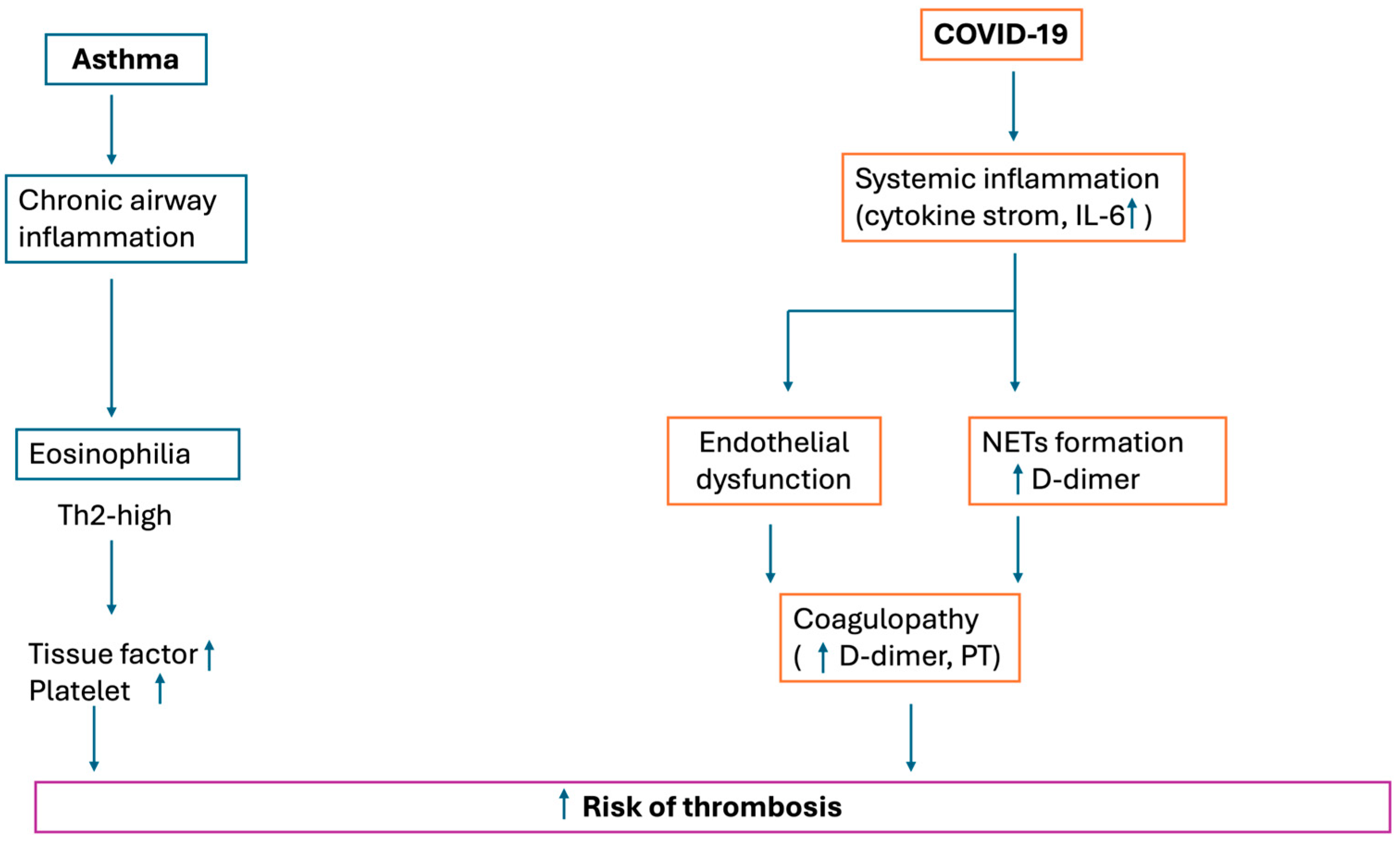 Diseases 13 00333 g002