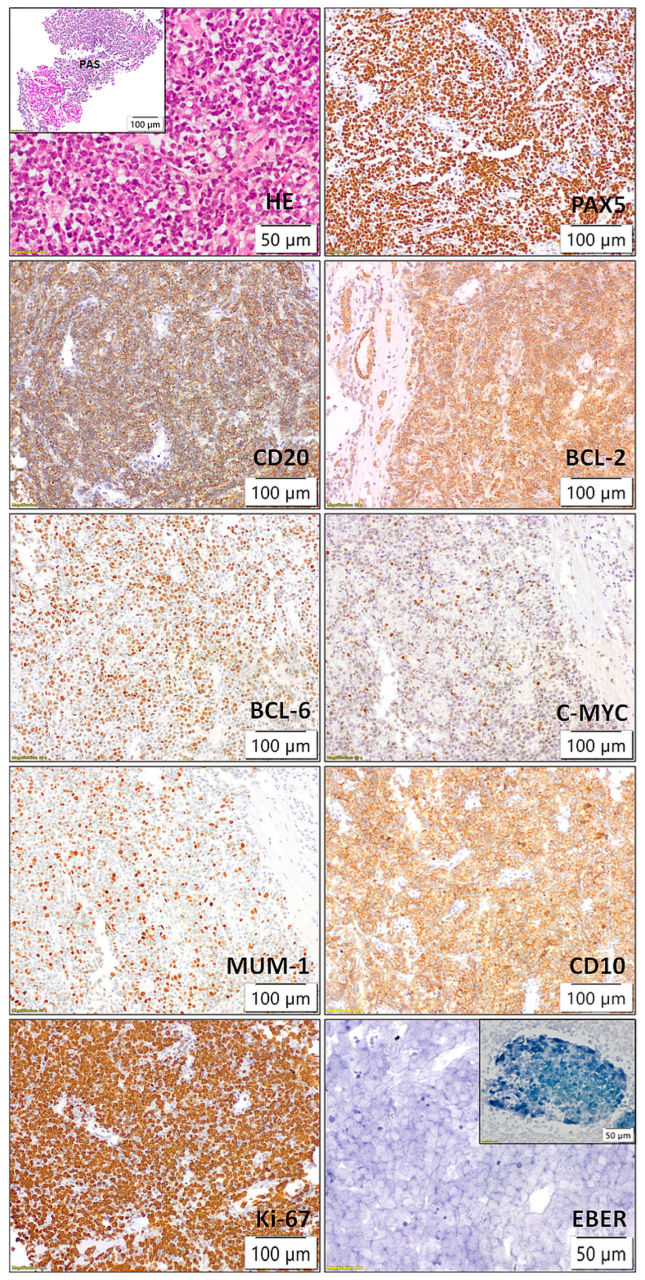 Diseases 13 00339 g003