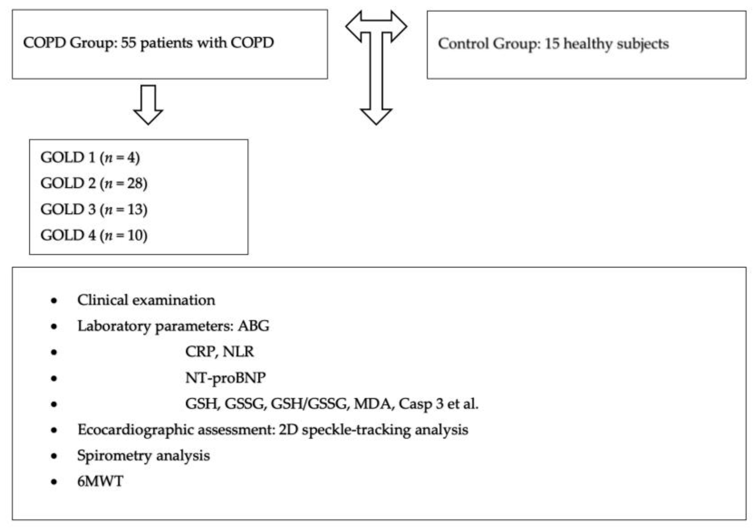 Diseases 13 00344 g001