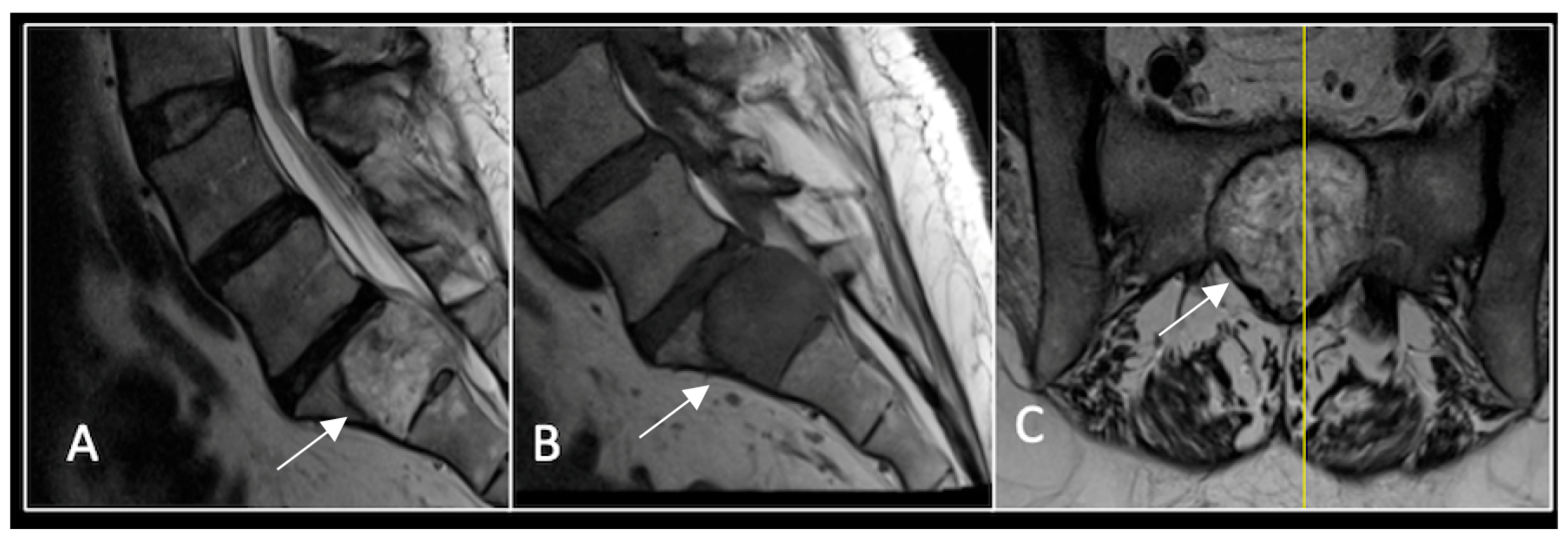 Diseases 13 00348 g004