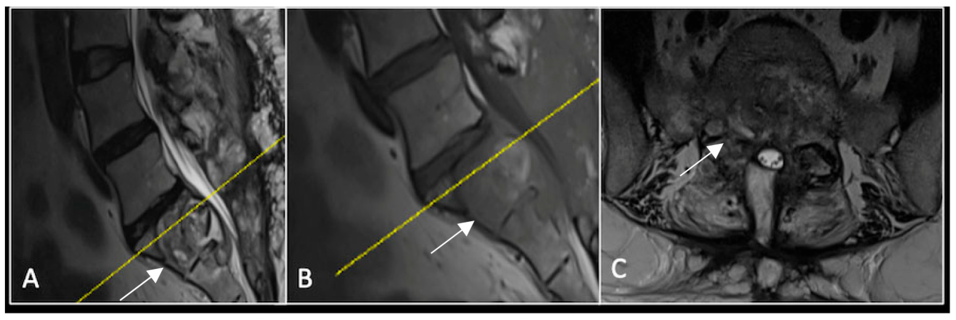 Diseases 13 00348 g005