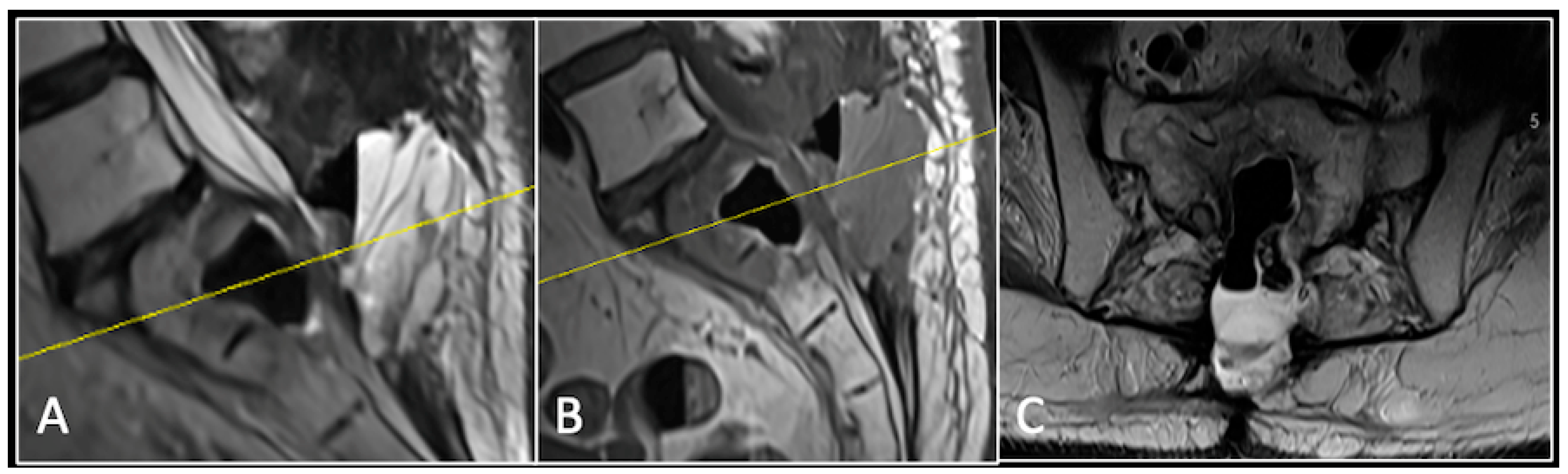 Diseases 13 00348 g006