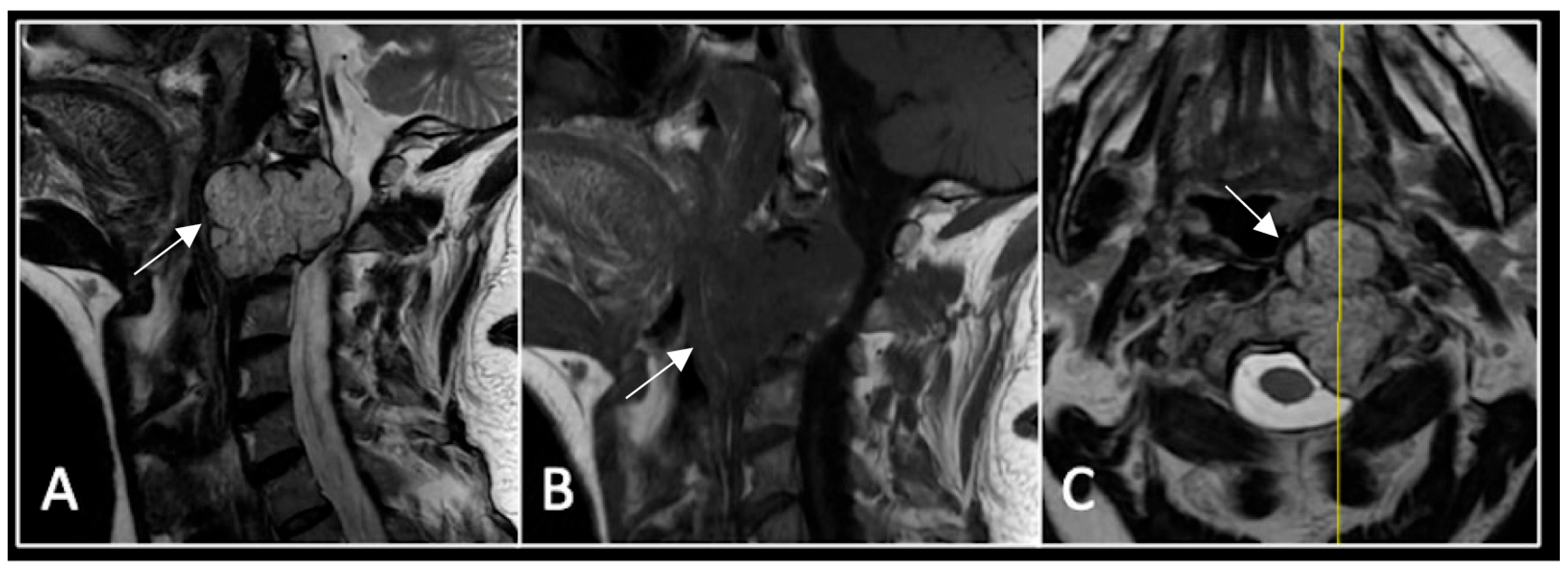 Diseases 13 00348 g007