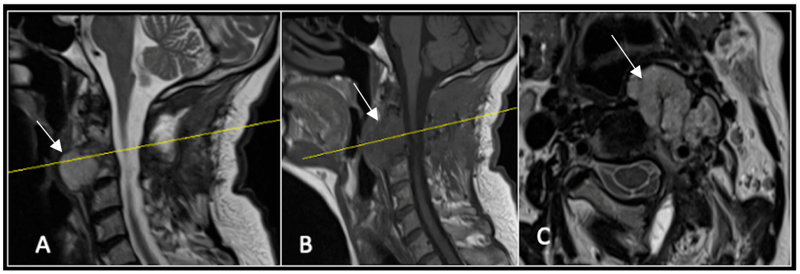 Diseases 13 00348 g008