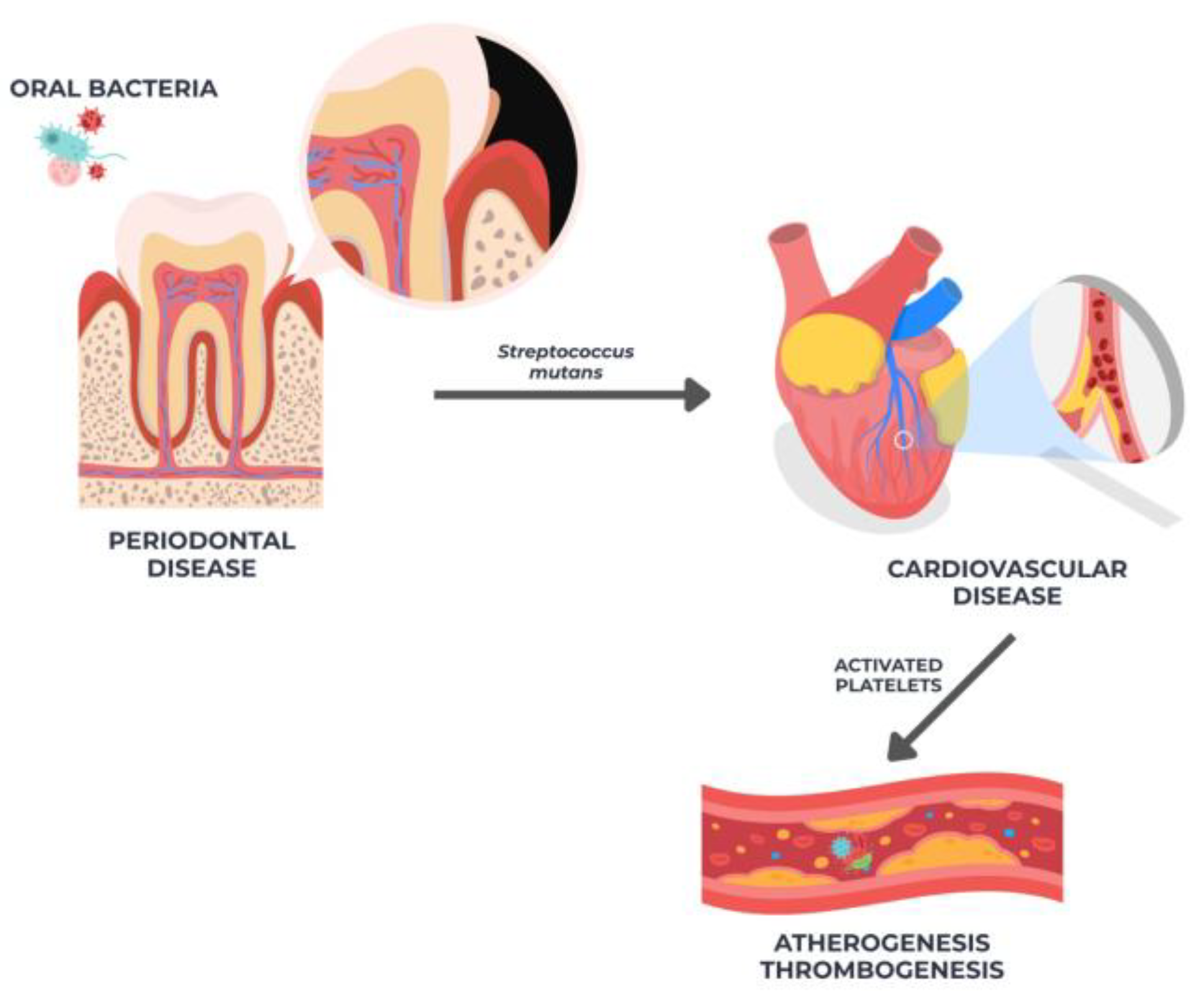 Diseases 13 00354 g001