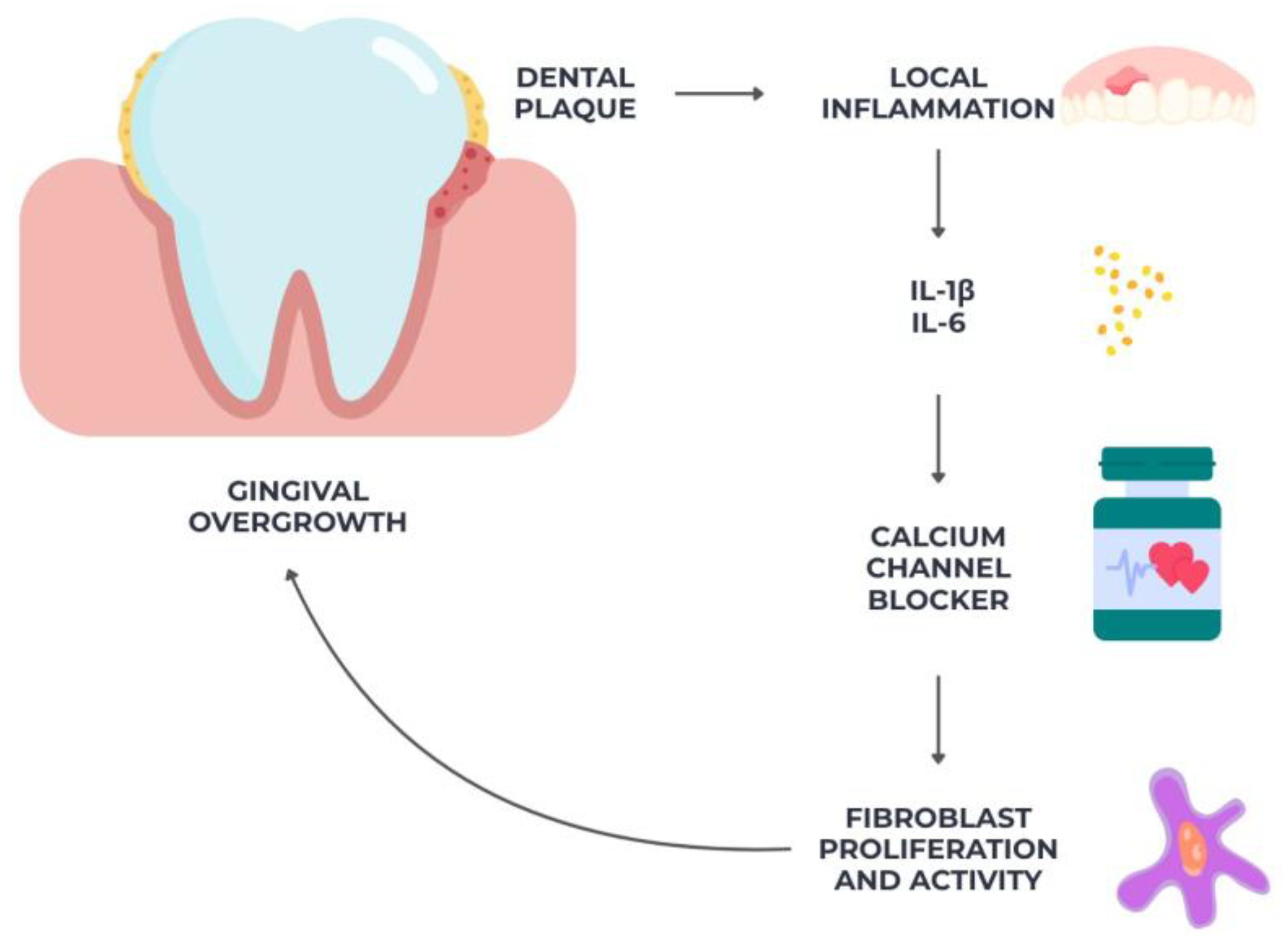 Diseases 13 00354 g002