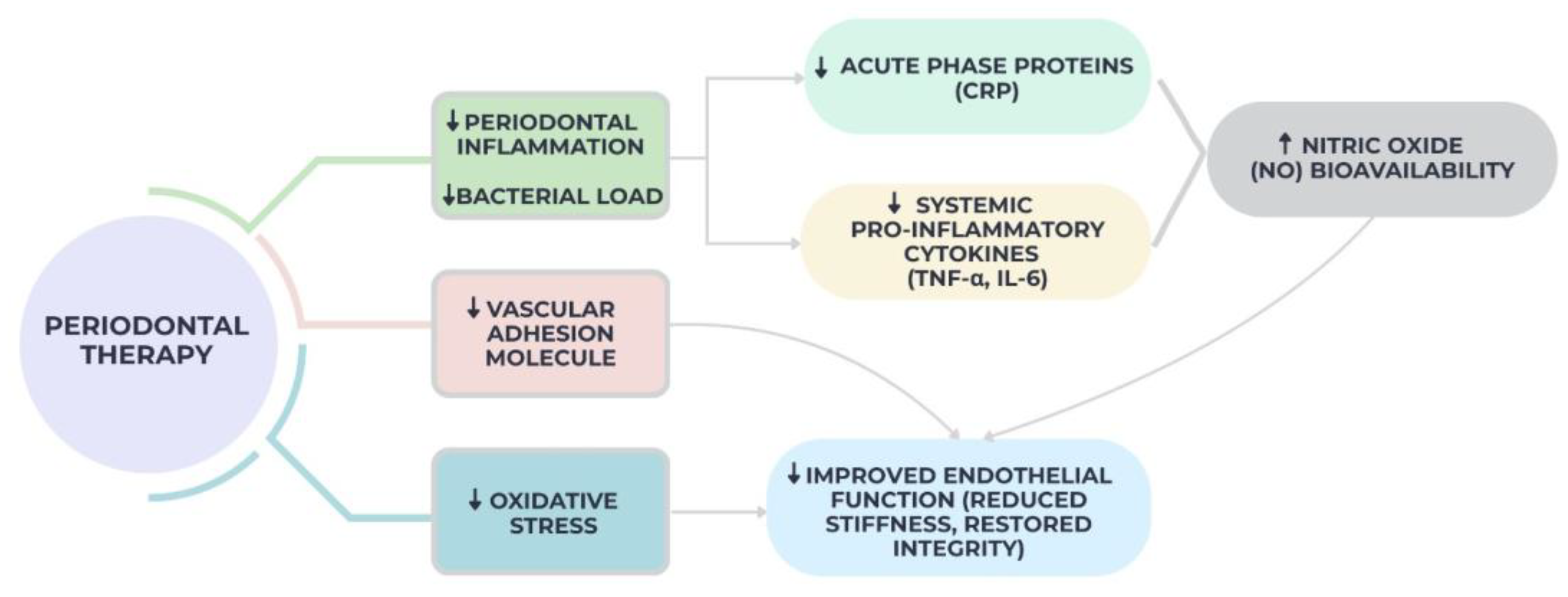 Diseases 13 00354 g003