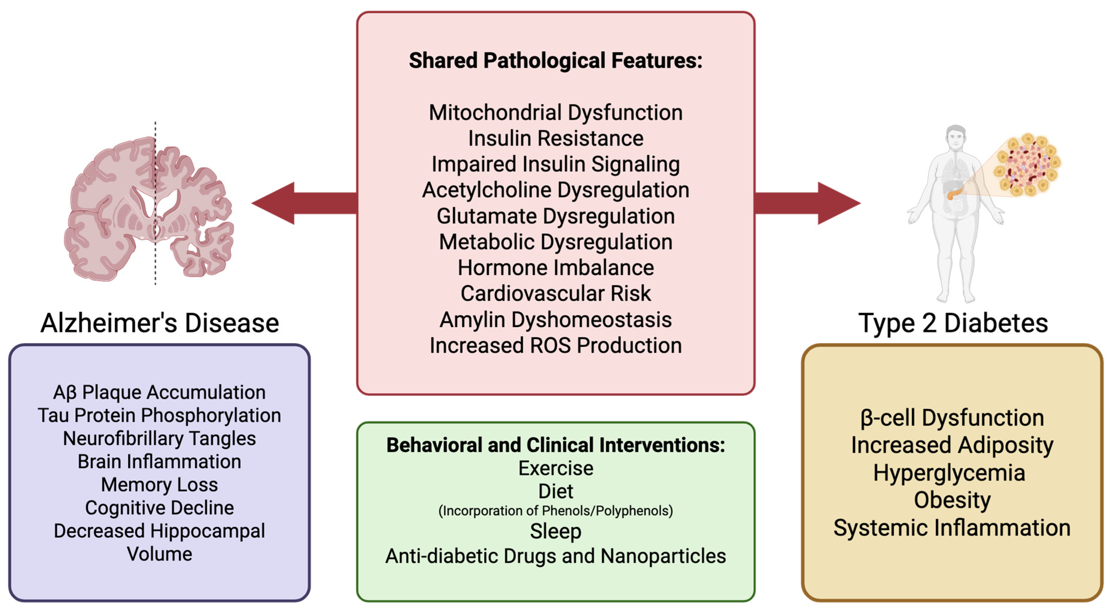 Diseases 13 00359 g001
