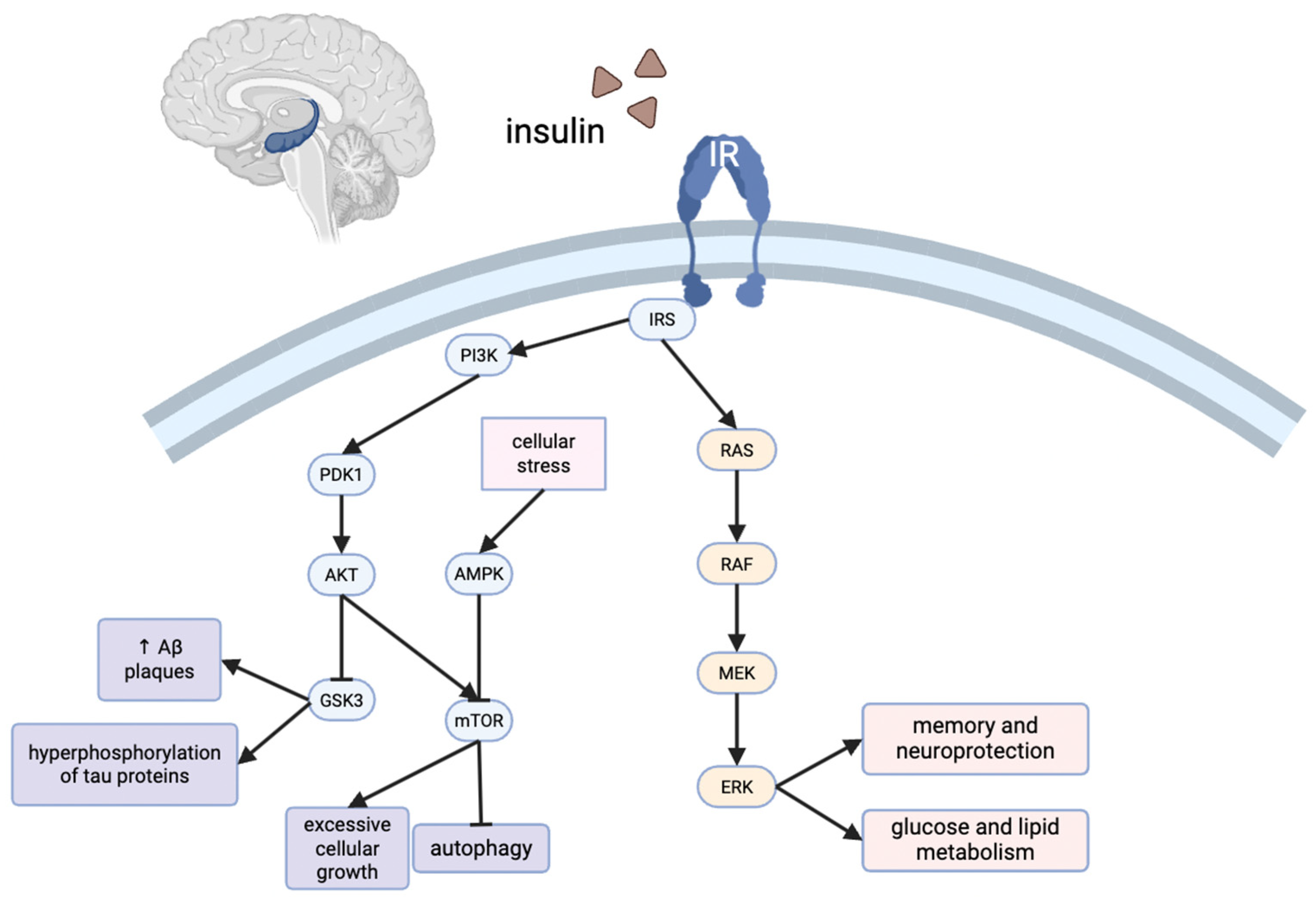 Diseases 13 00359 g002
